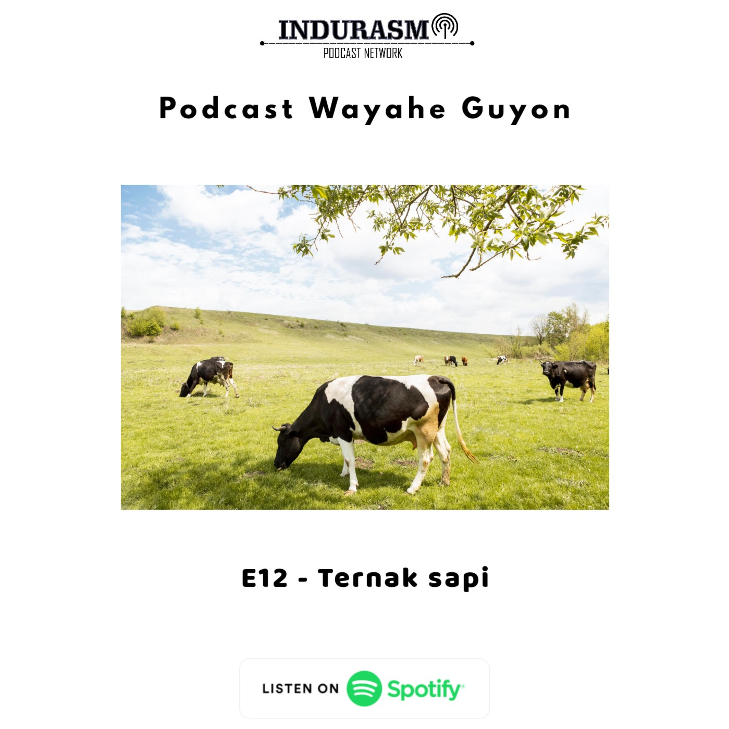 Wayahe Guyon