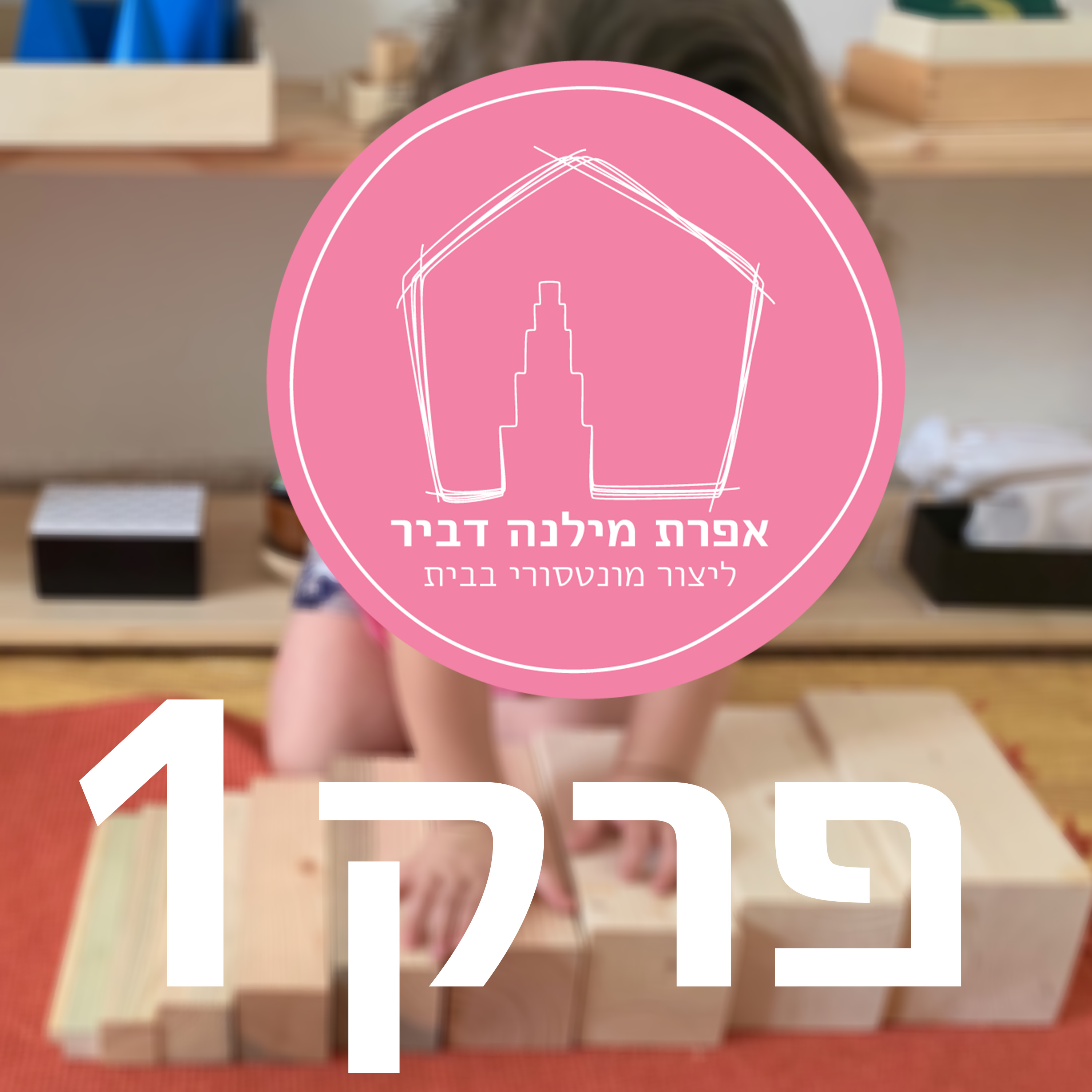 ליצור מונטסורי בבית