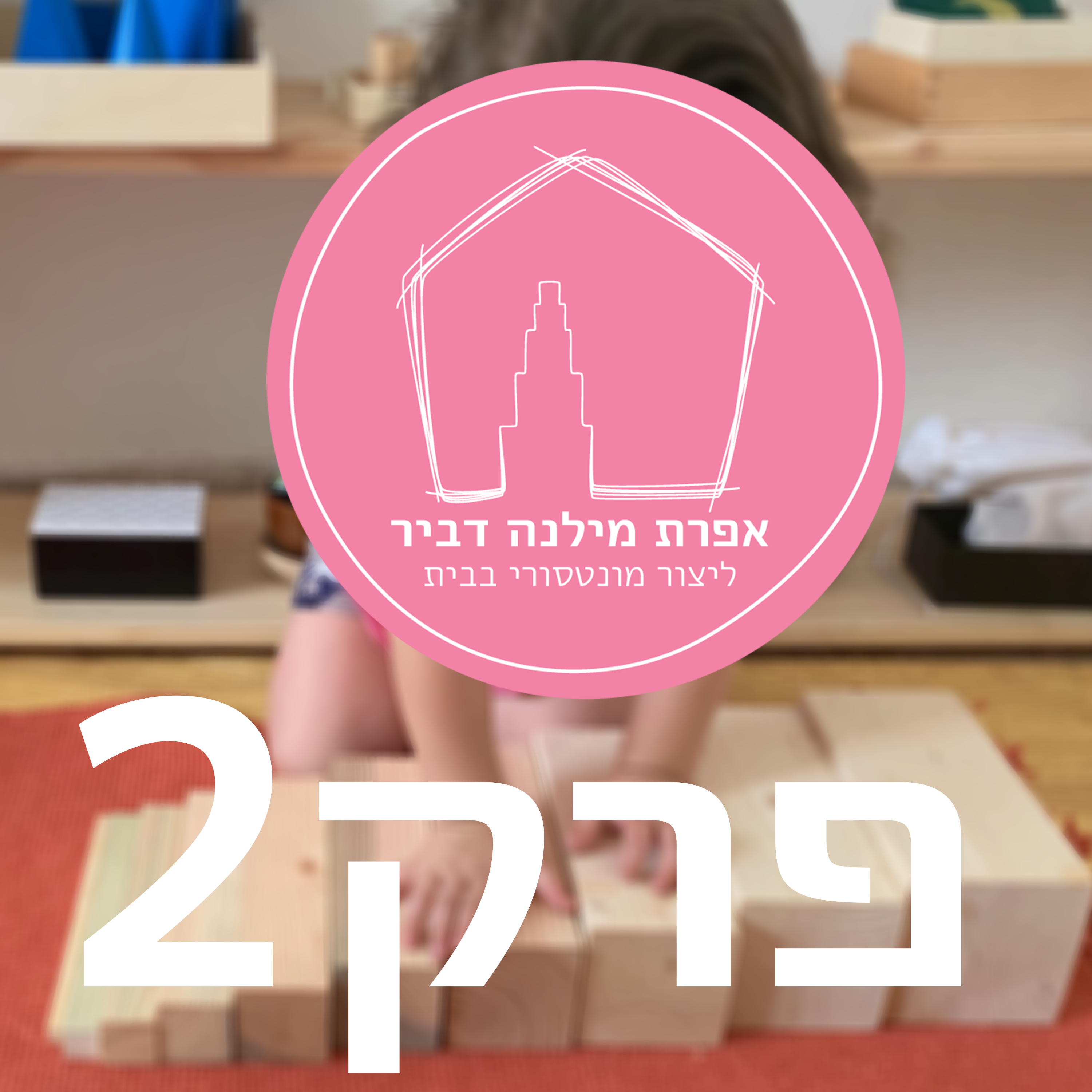 ליצור מונטסורי בבית