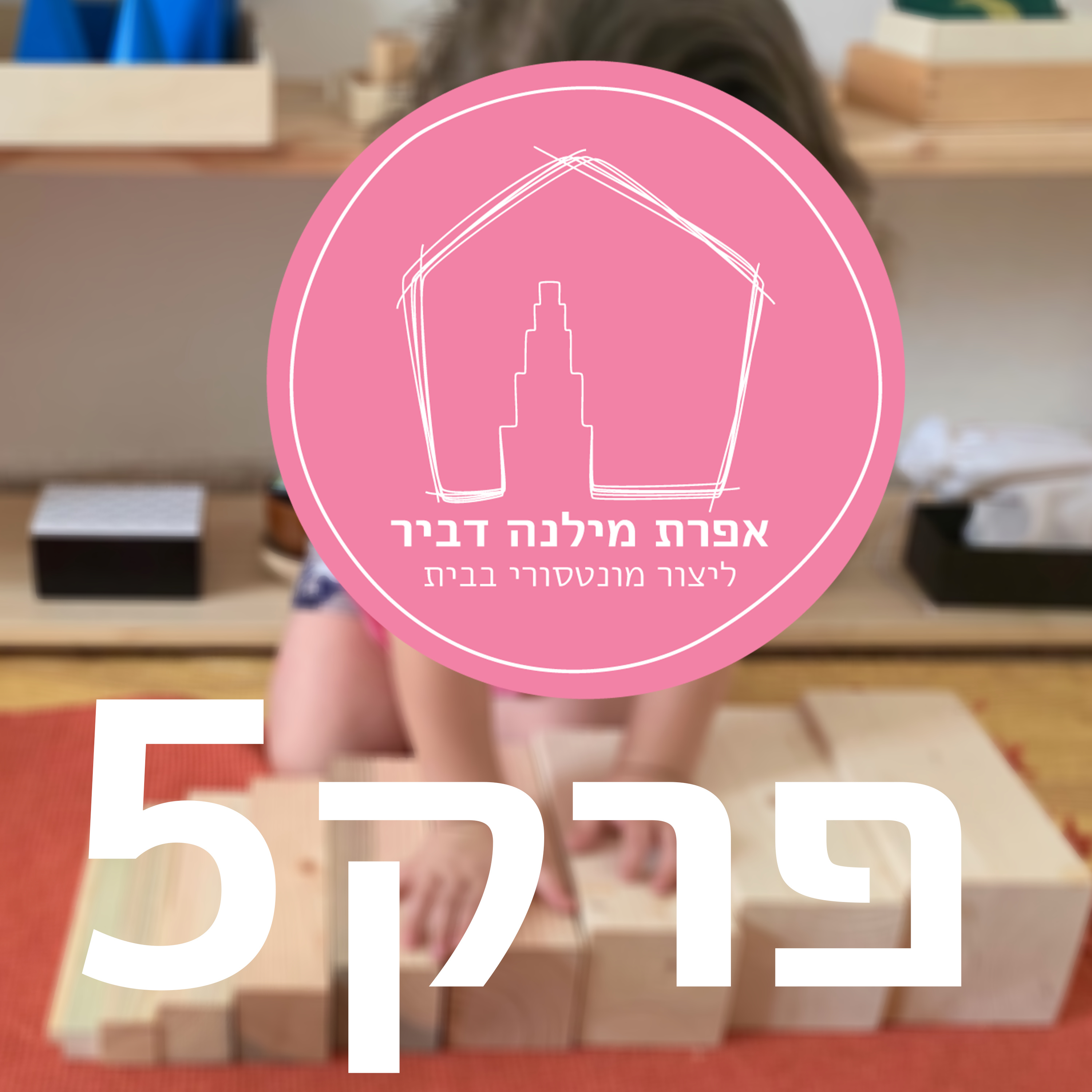 ליצור מונטסורי בבית