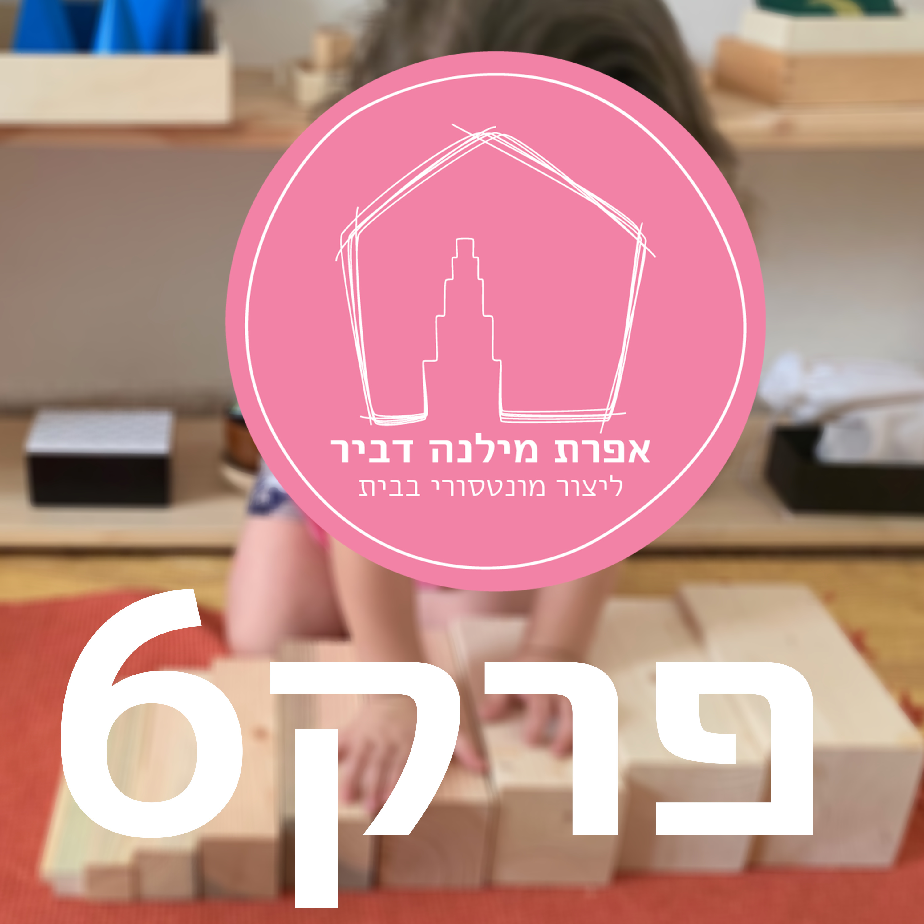 ליצור מונטסורי בבית