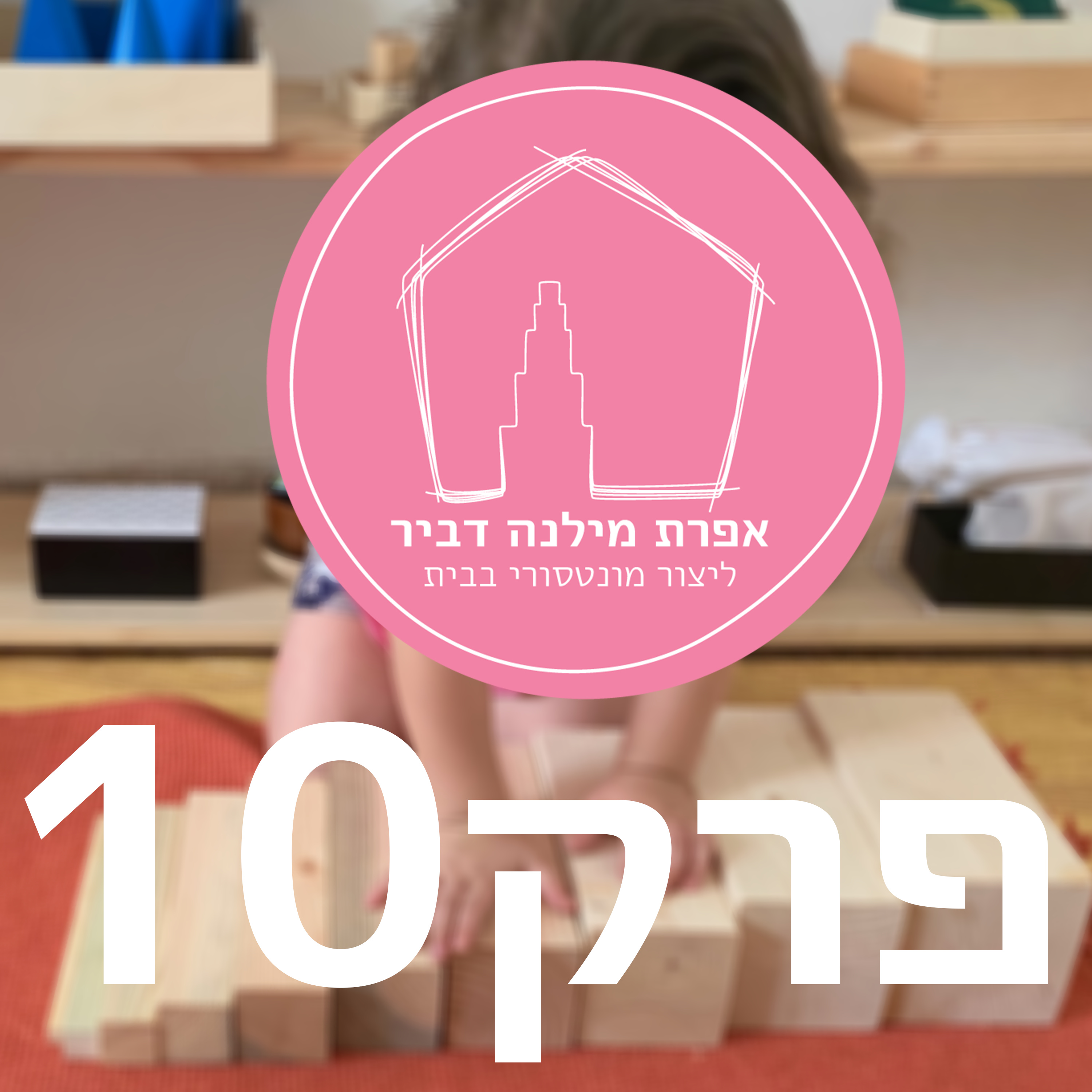 ליצור מונטסורי בבית