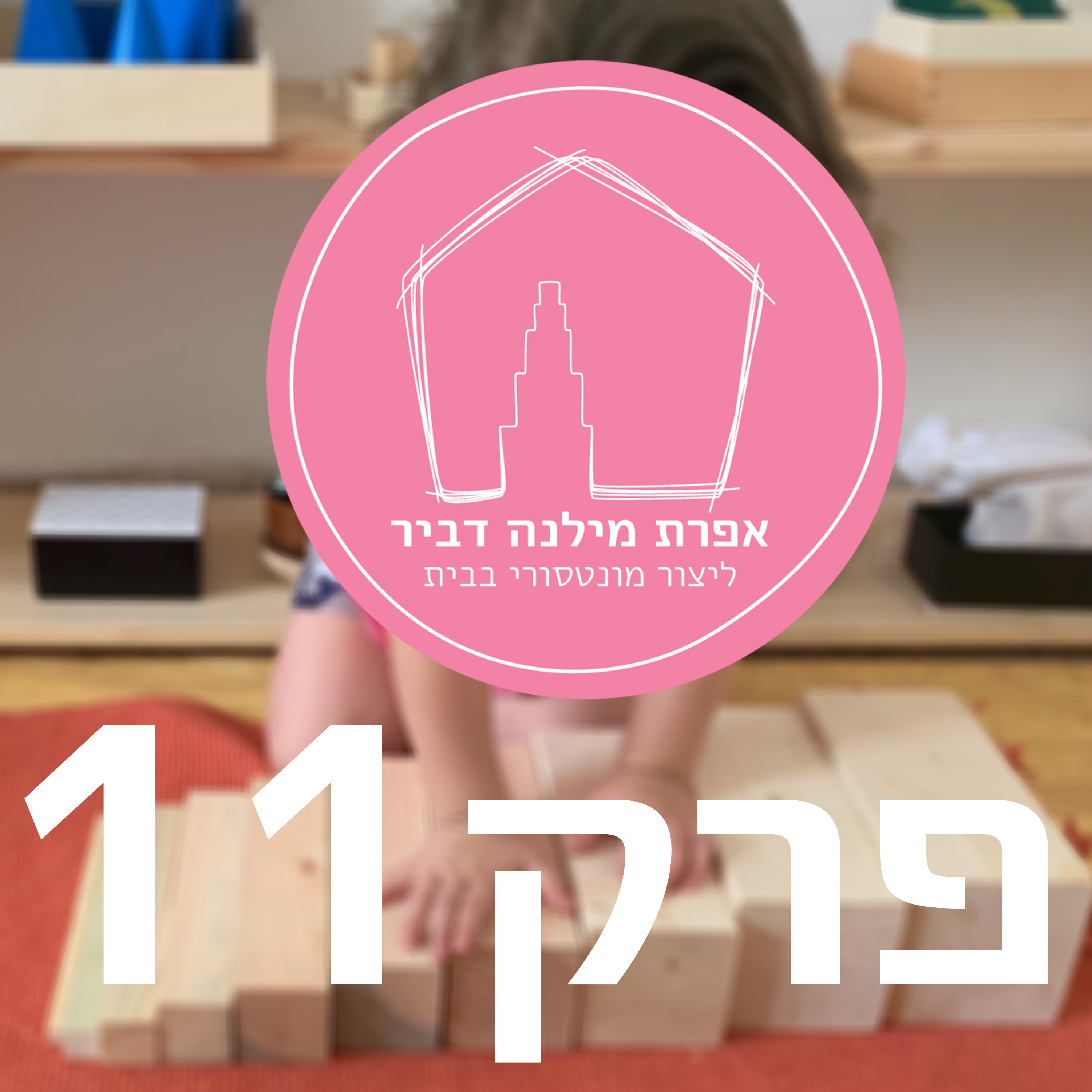 ליצור מונטסורי בבית