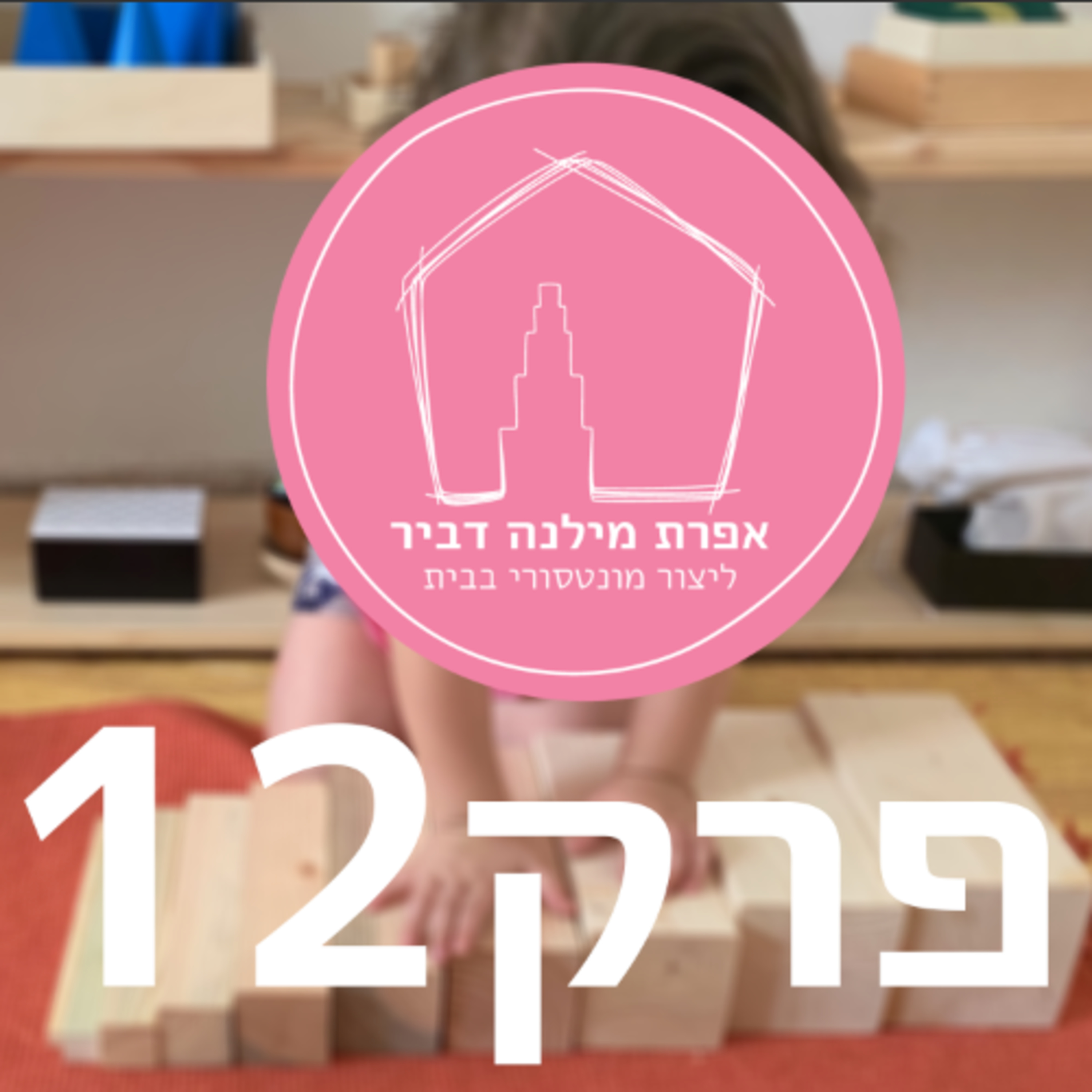 ליצור מונטסורי בבית