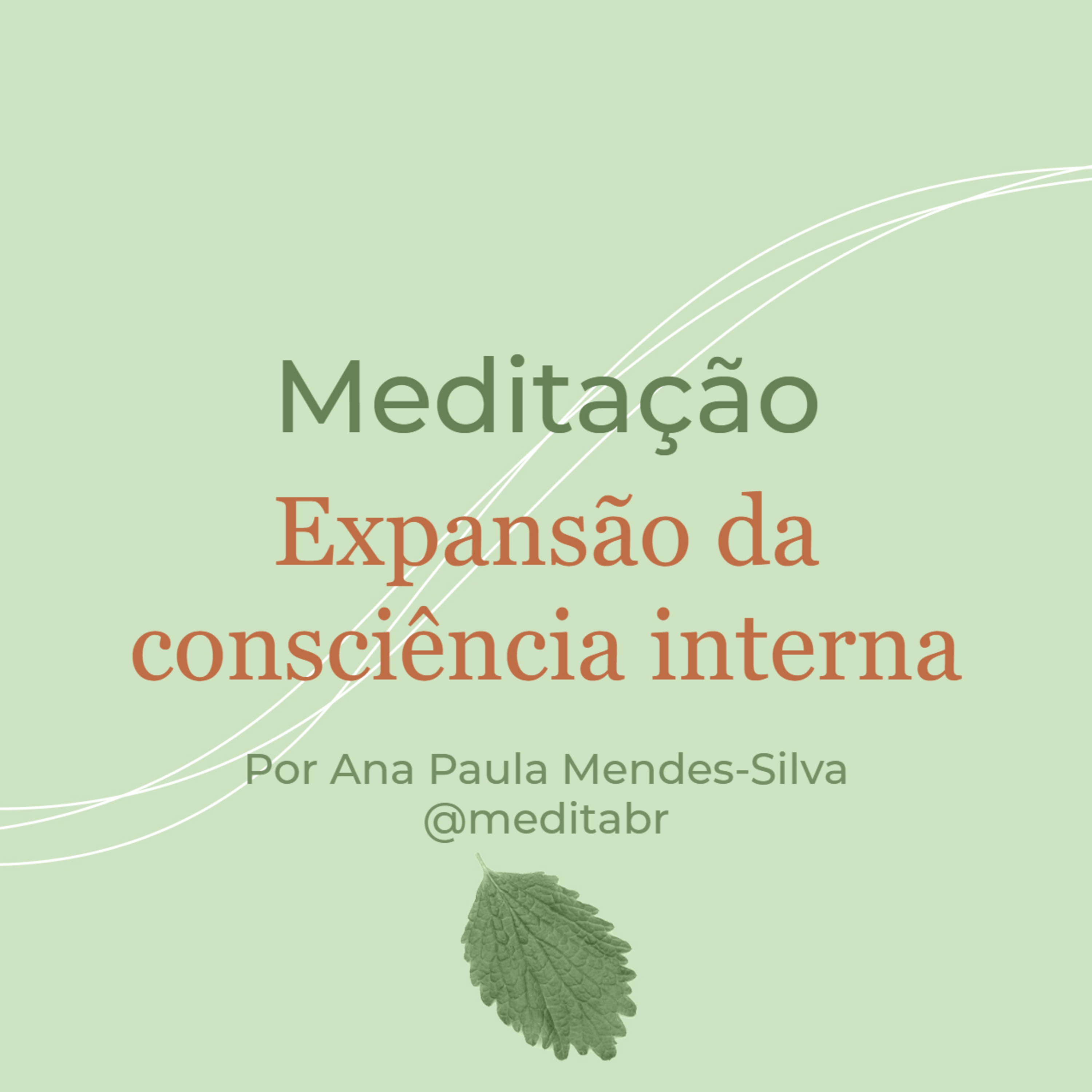 Medita Brasil