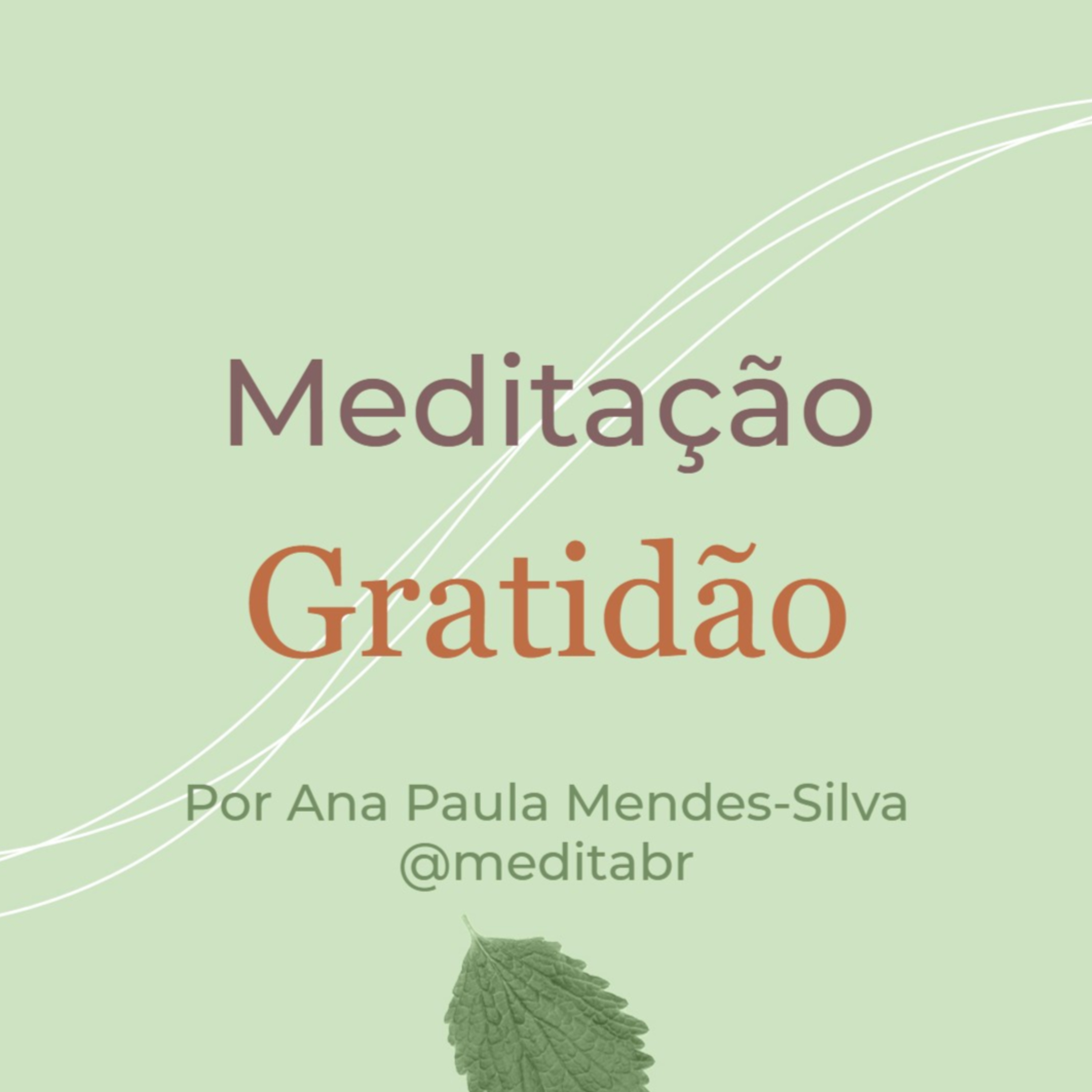 Medita Brasil