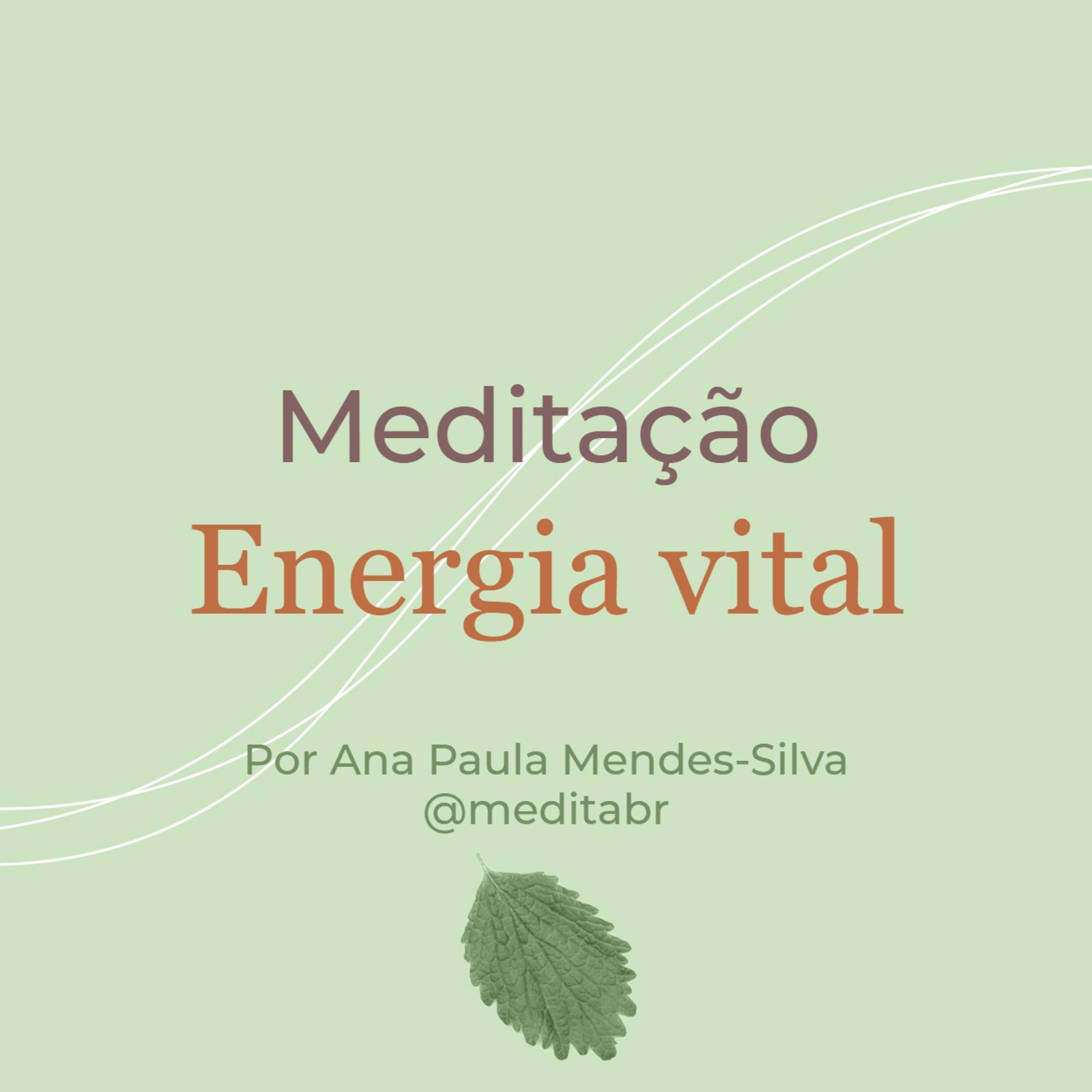Medita Brasil