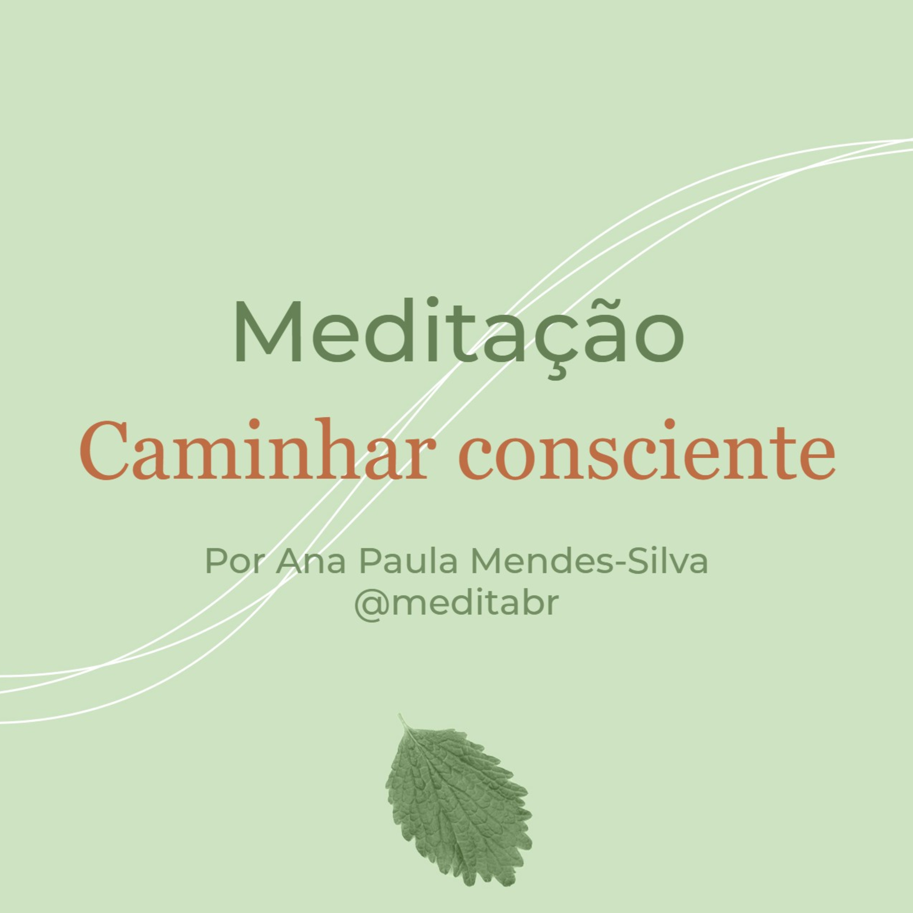 Medita Brasil