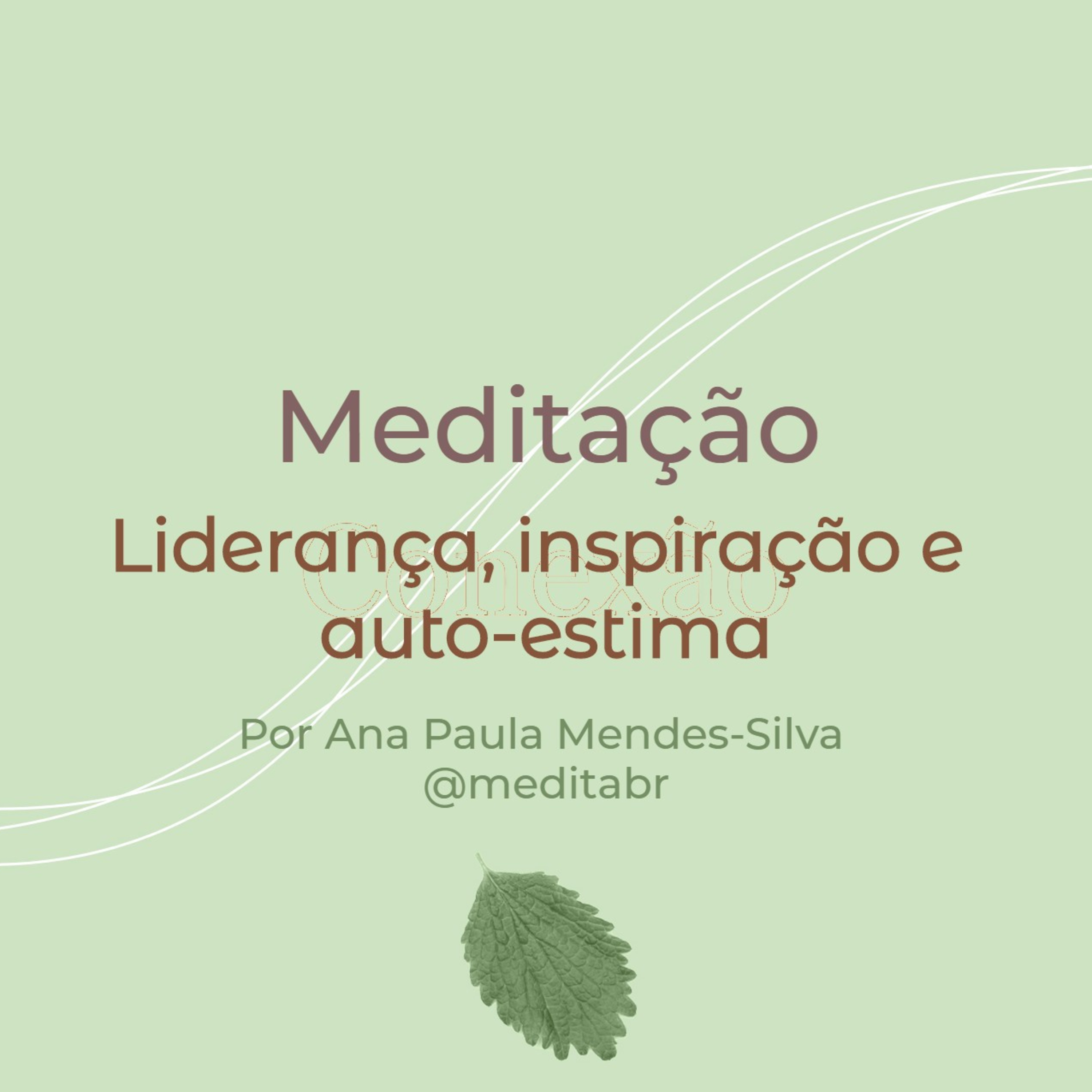 Medita Brasil