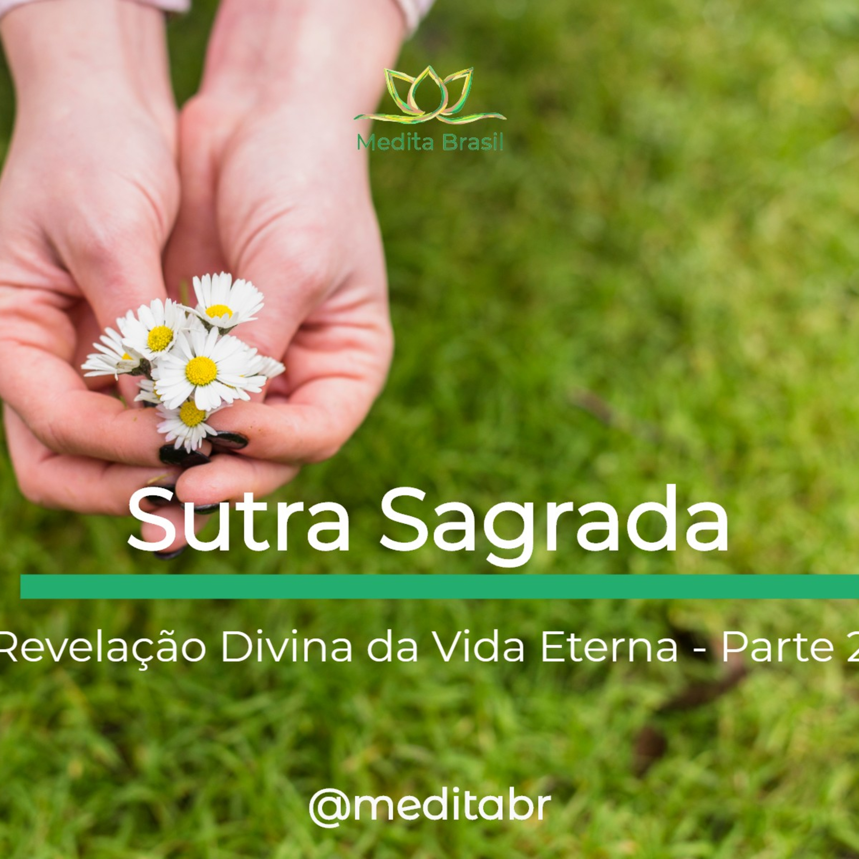 Medita Brasil