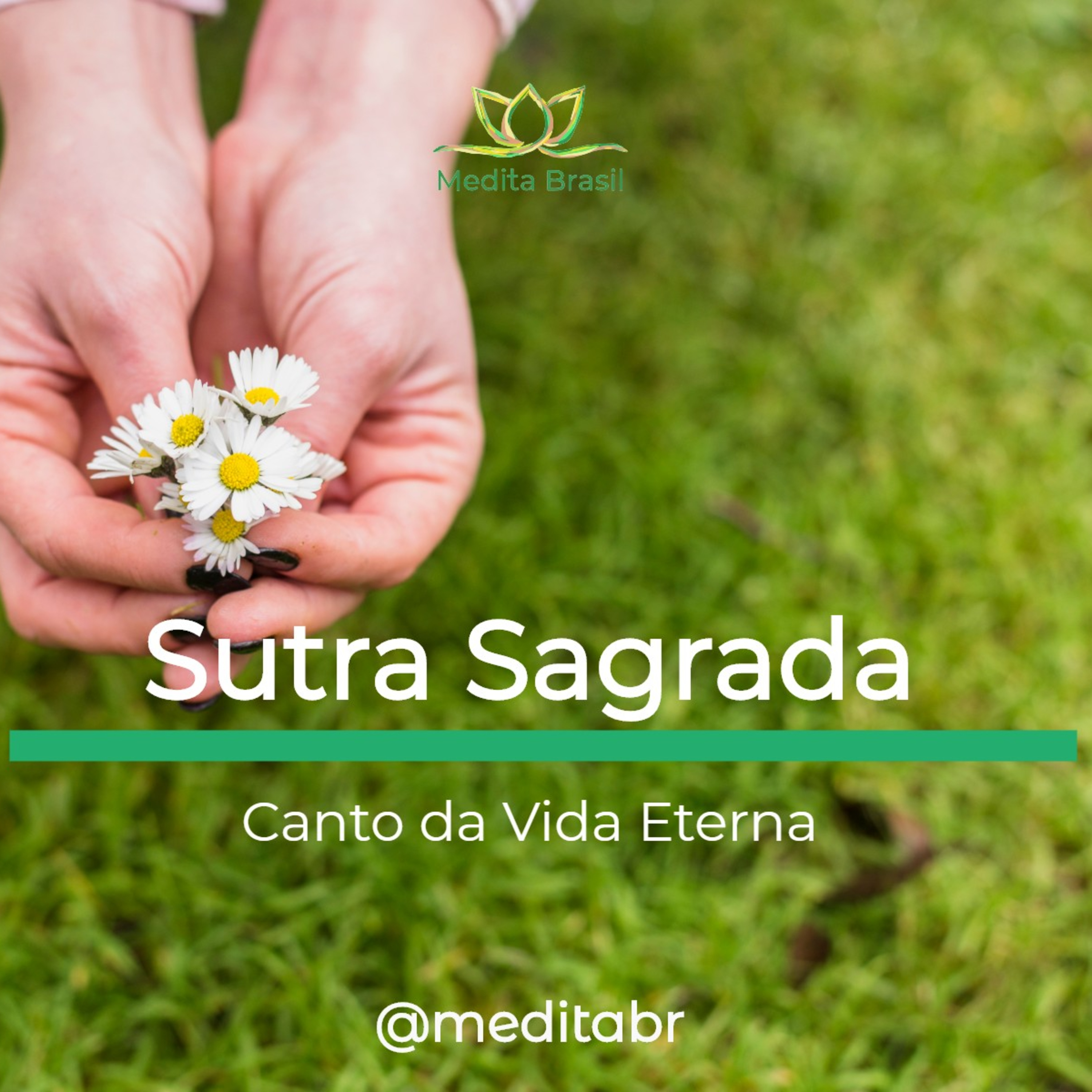 Medita Brasil
