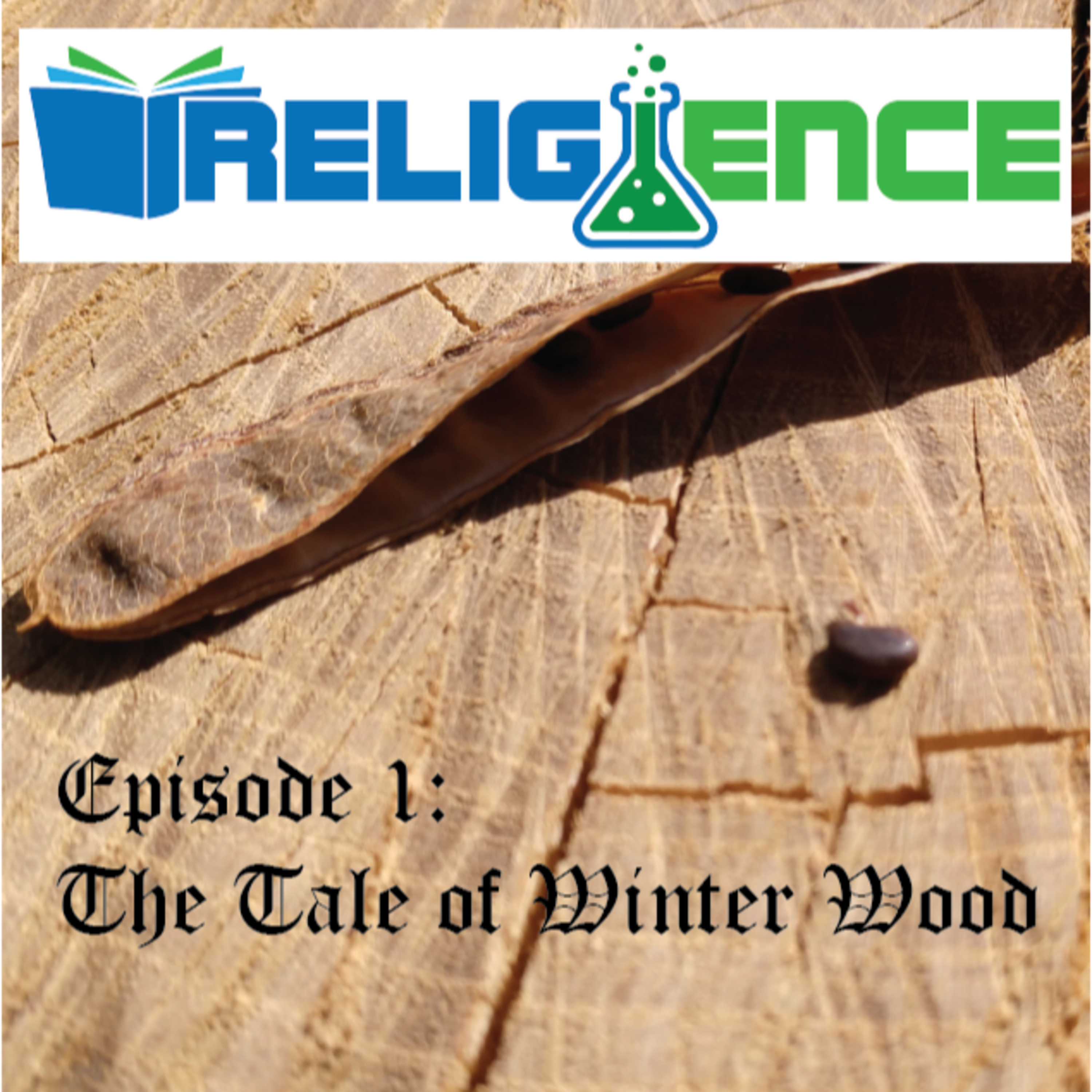 The Tale of Winter Wood