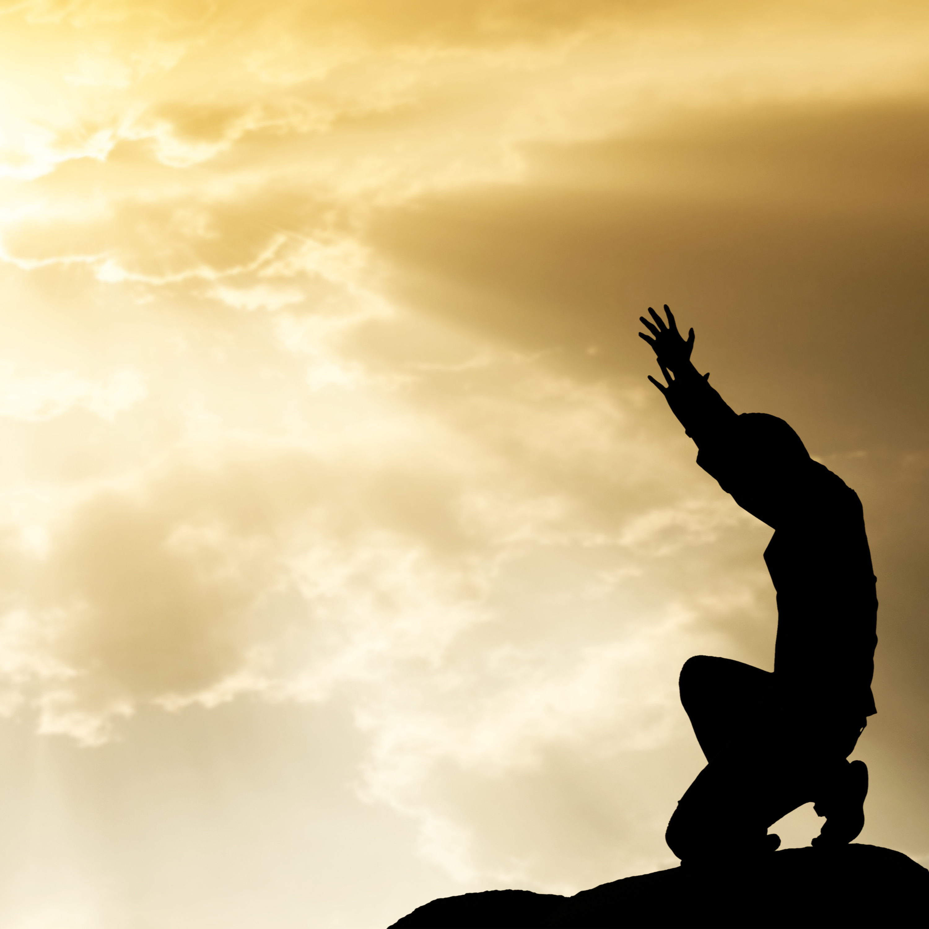 Episode 40: How Can the Emotion and Body Code help with your connection with the Divine/ God/ Universe?  episode artwork