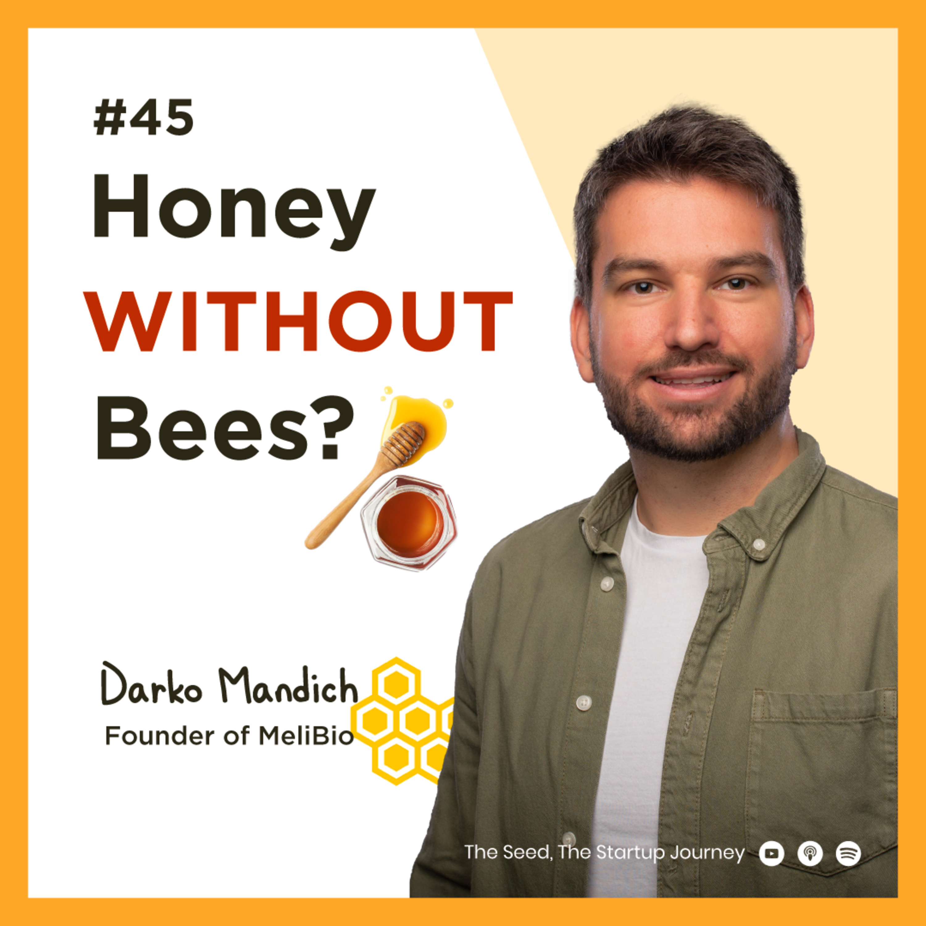 The Seed – The Startup Journey