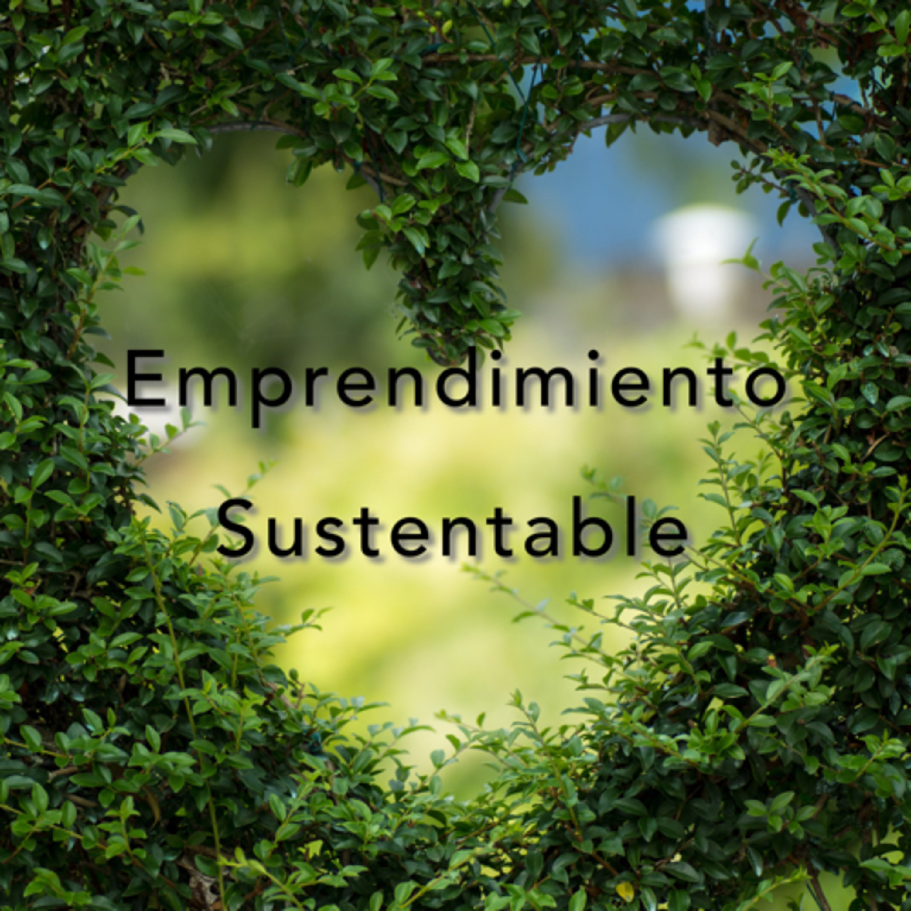 Emprendimiento Sustentable