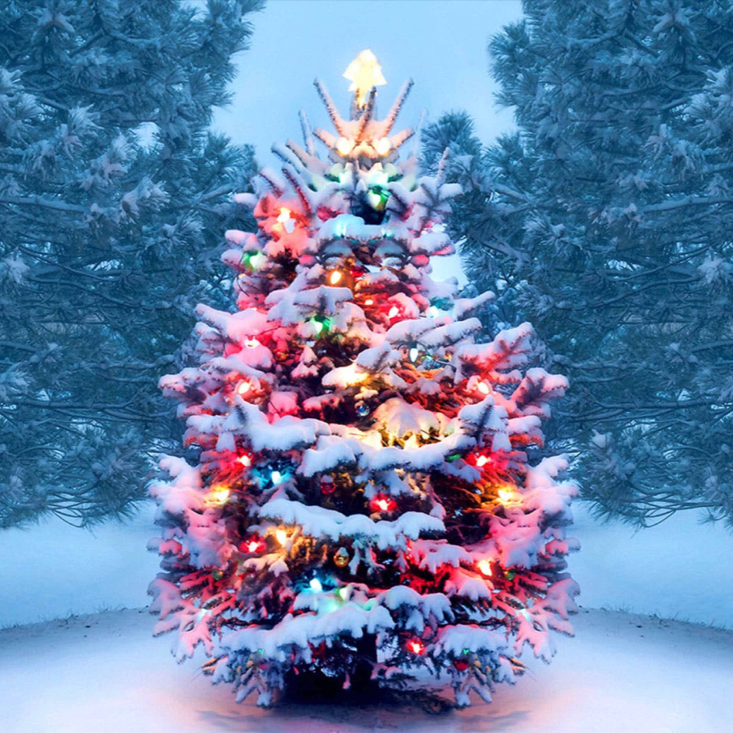 Merry Christmas !!!!! episode artwork