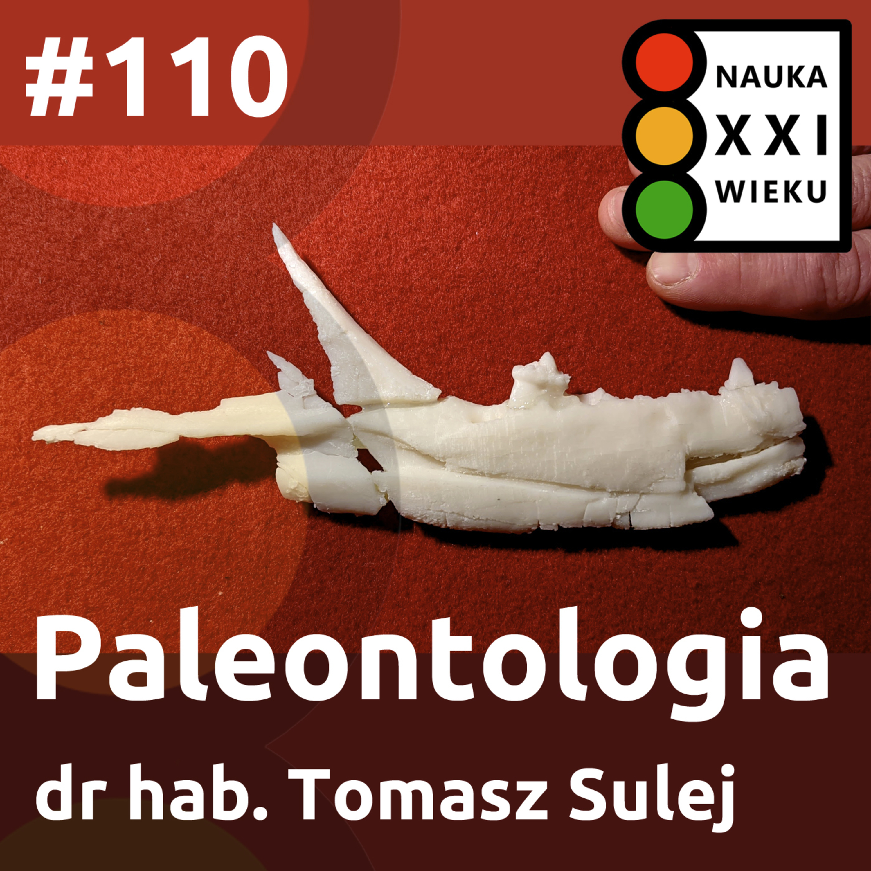 Tytuł odcinka: #110 - Paleontologia