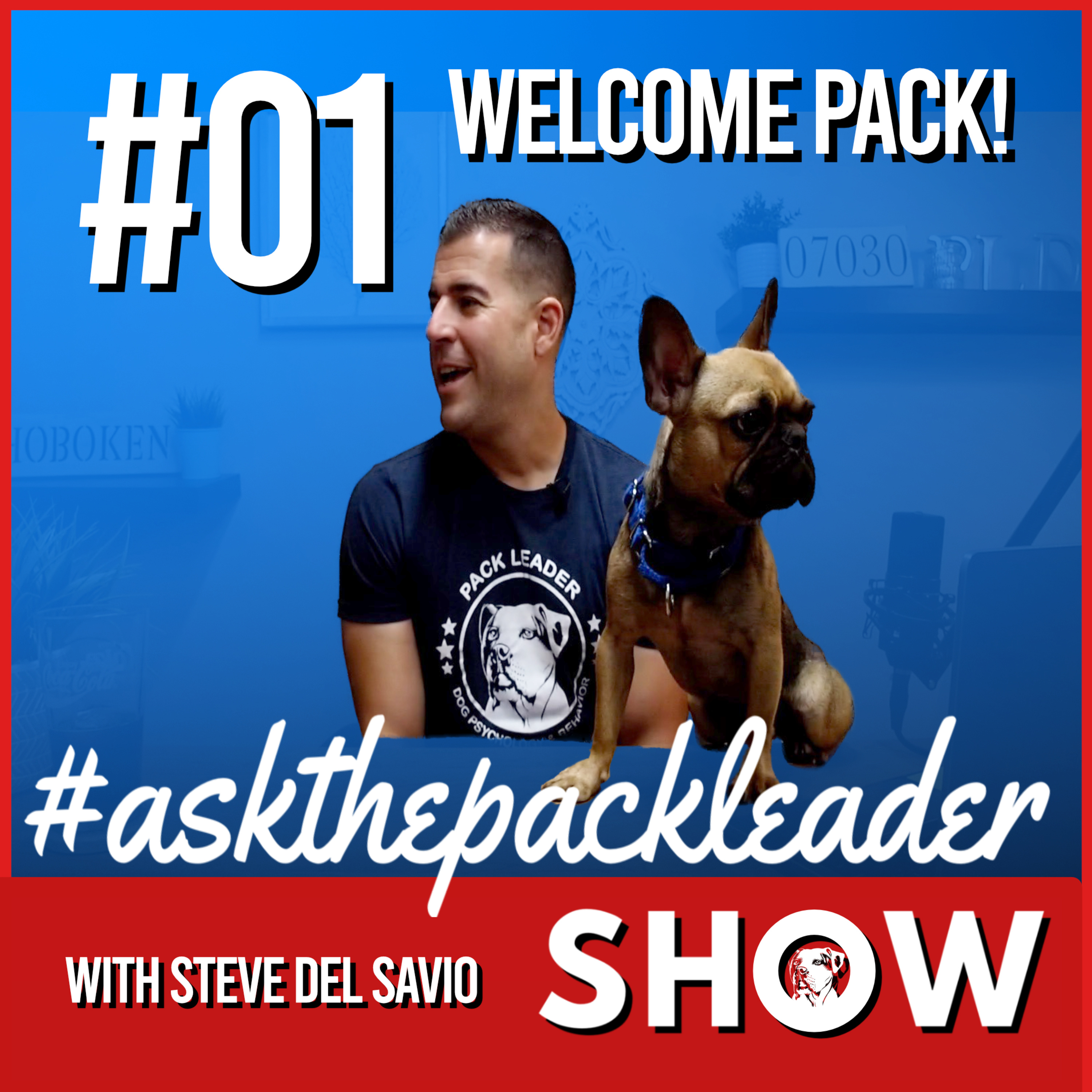 The Pack Leader Dog Psychology Channel