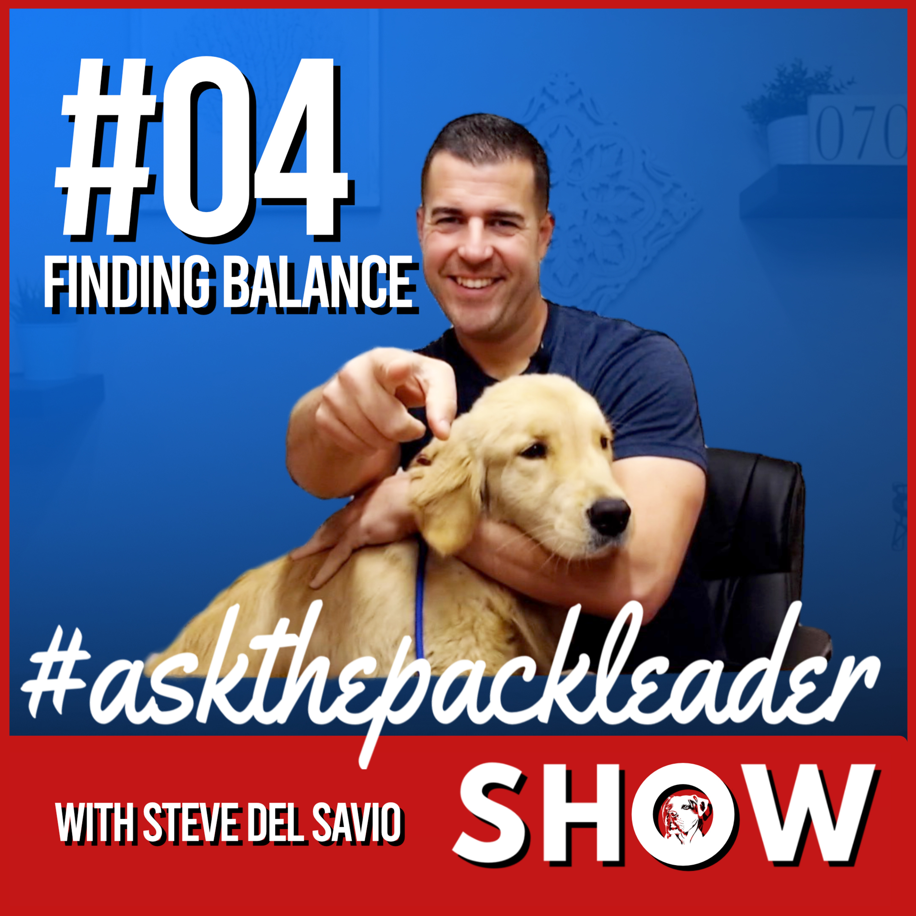 The Pack Leader Dog Psychology Channel