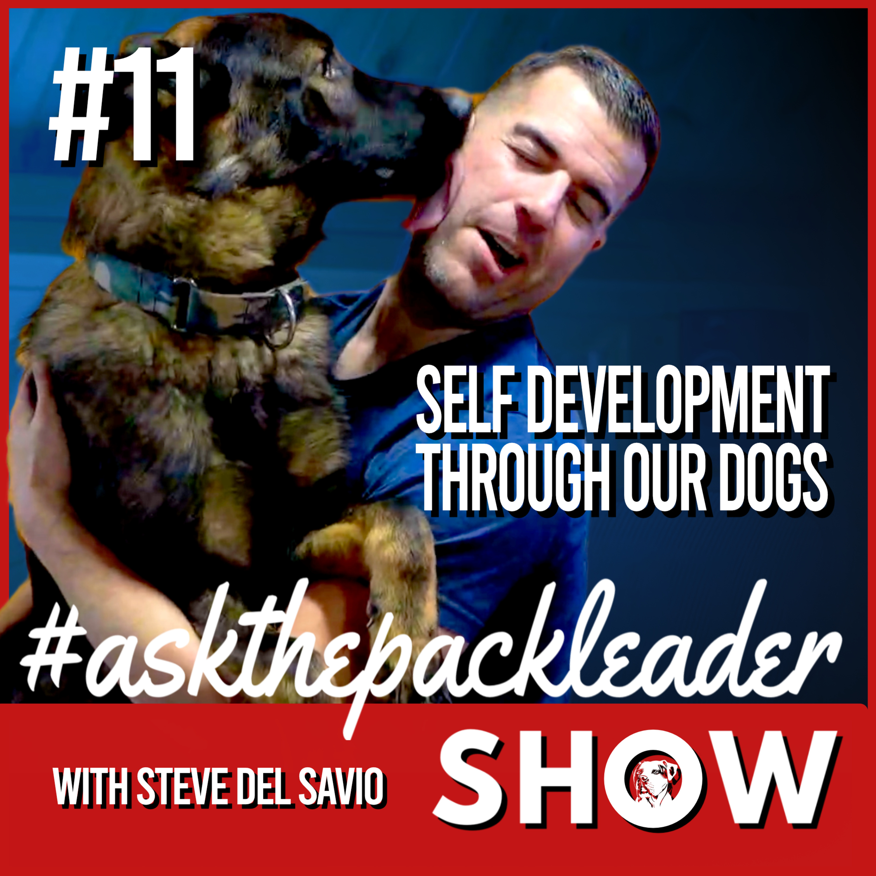 The Pack Leader Dog Psychology Channel