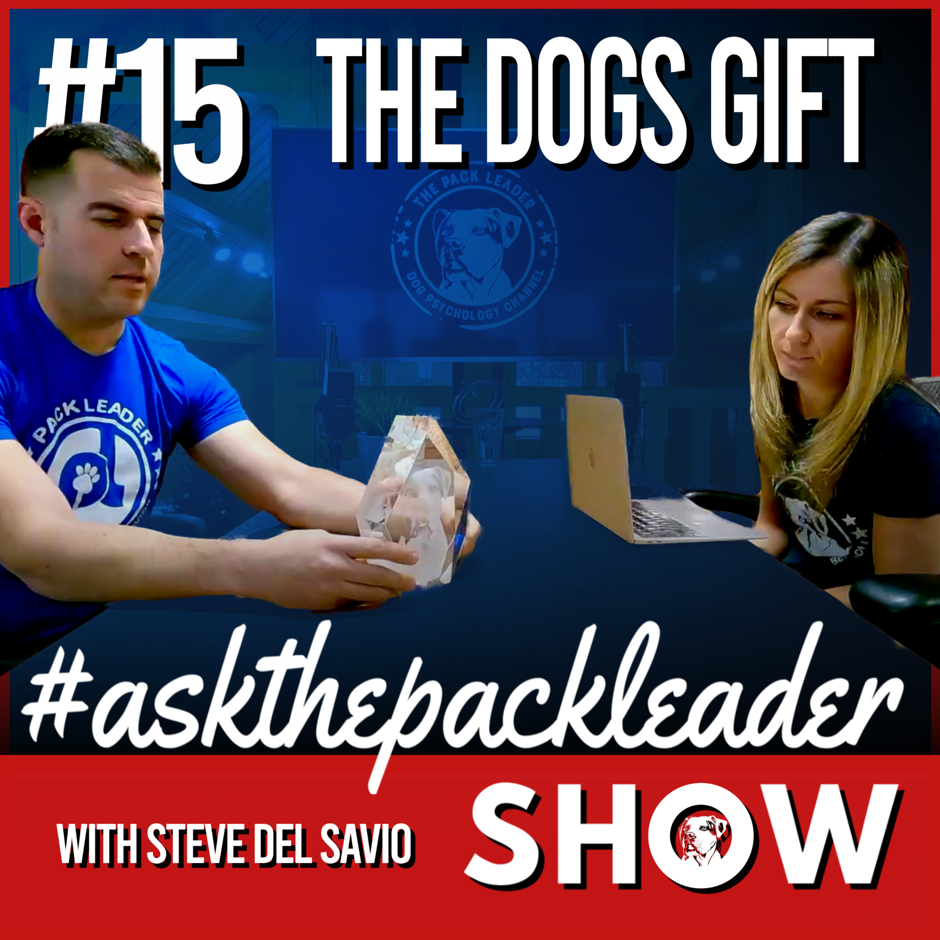 The Pack Leader Dog Psychology Channel