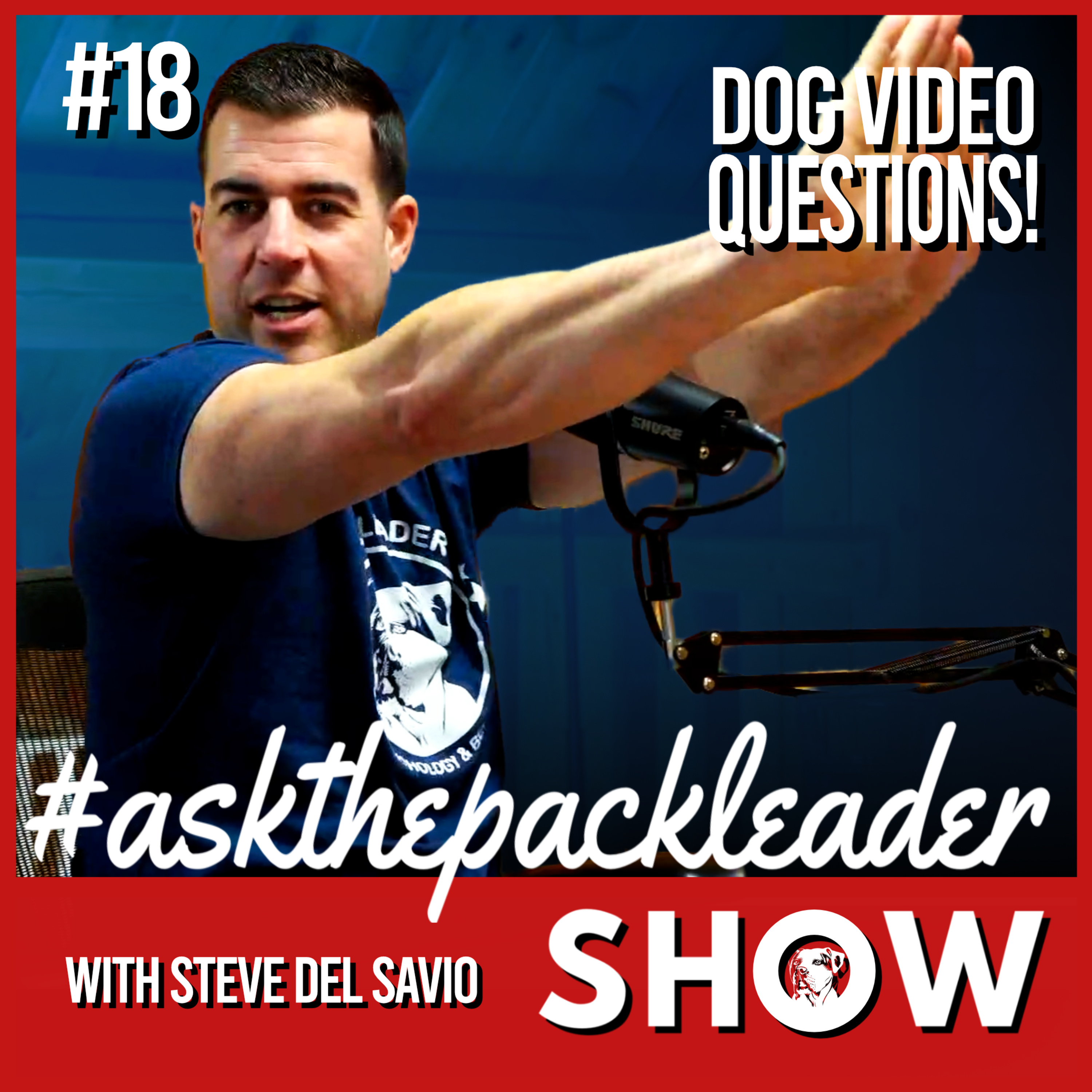 The Pack Leader Dog Psychology Channel