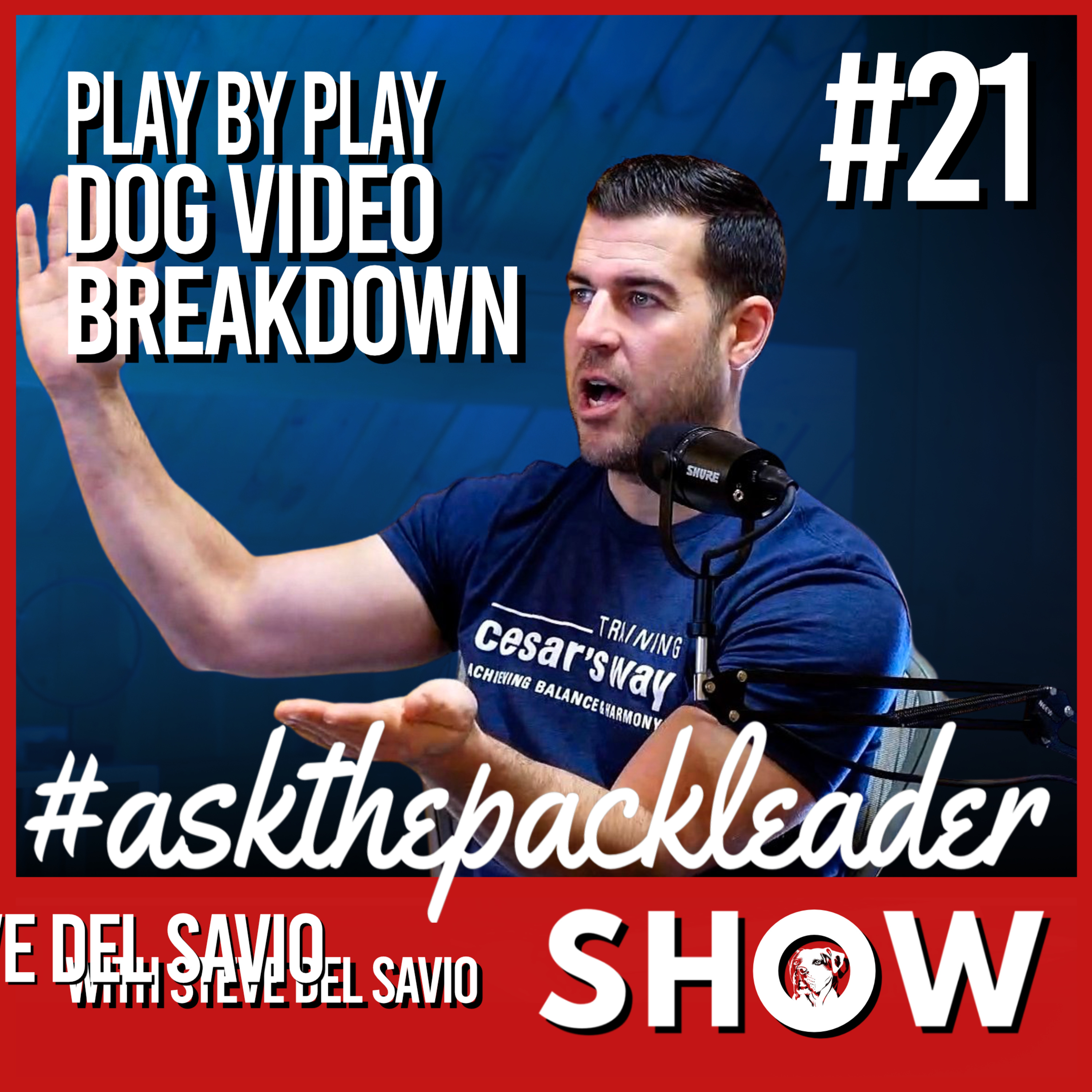 The Pack Leader Dog Psychology Channel