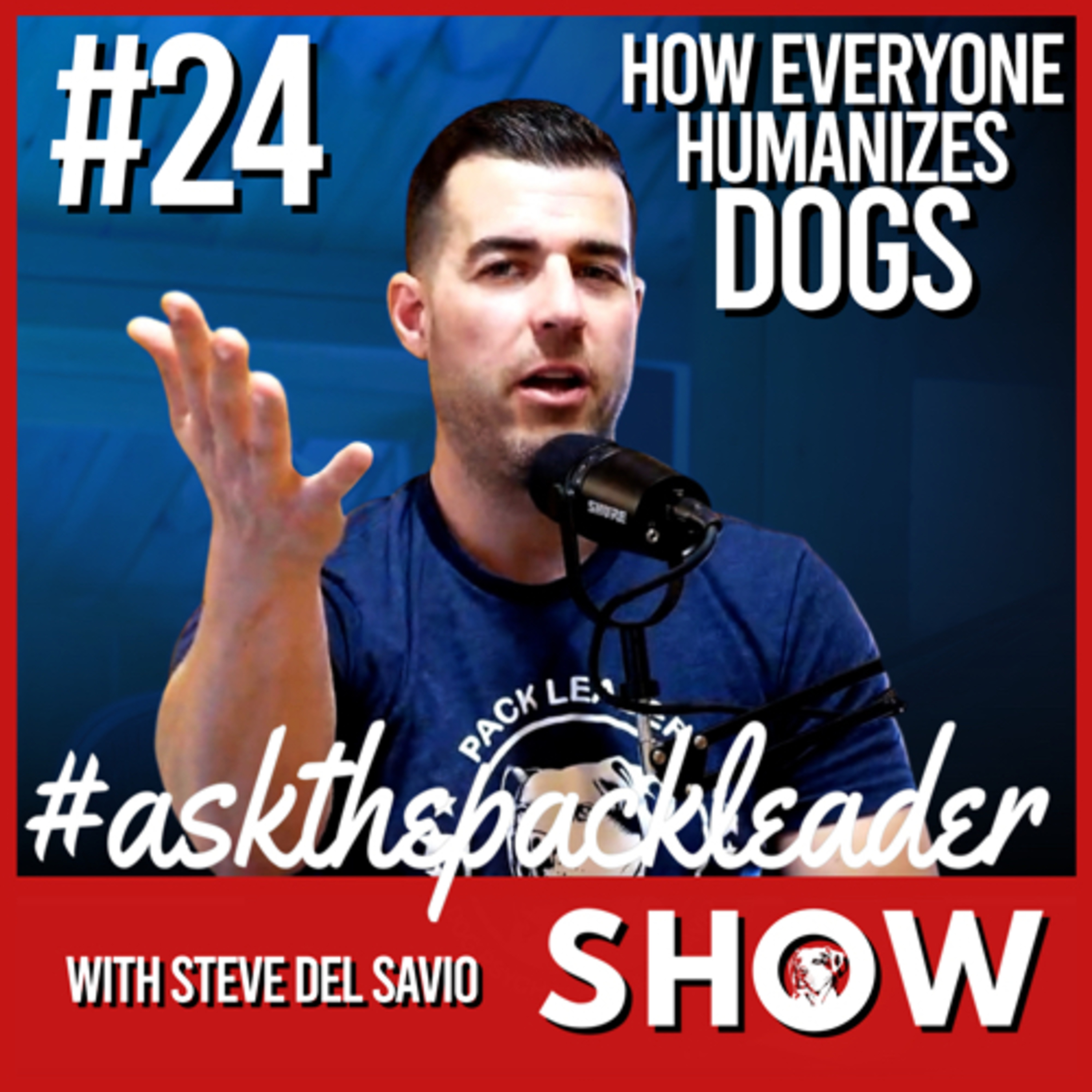 The Pack Leader Dog Psychology Channel