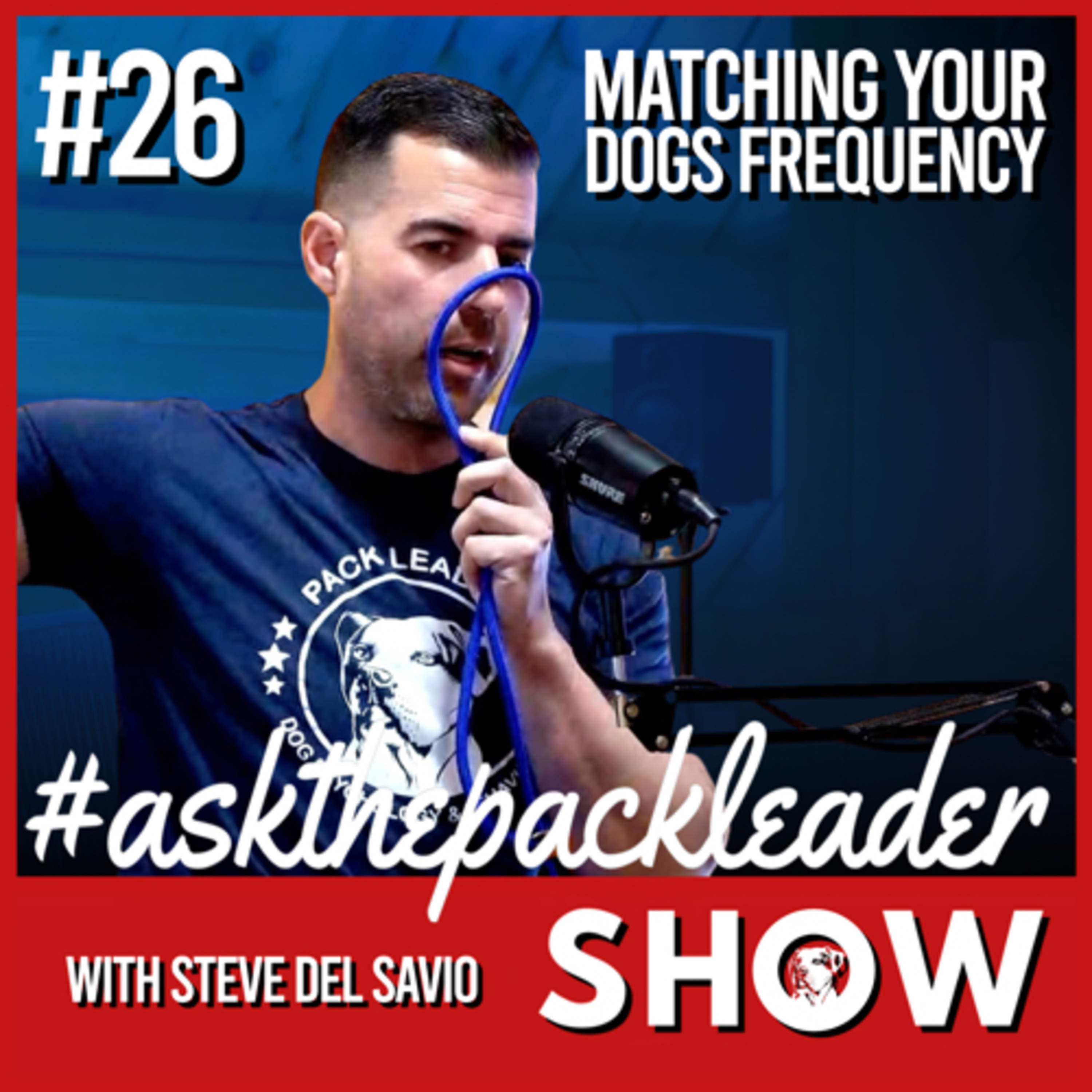 The Pack Leader Dog Psychology Channel