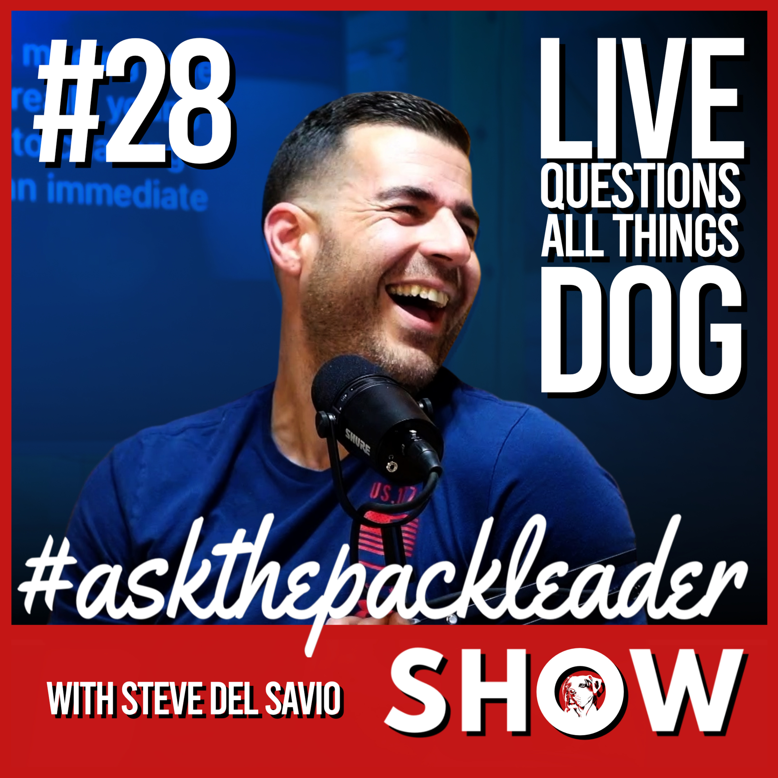 The Pack Leader Dog Psychology Channel