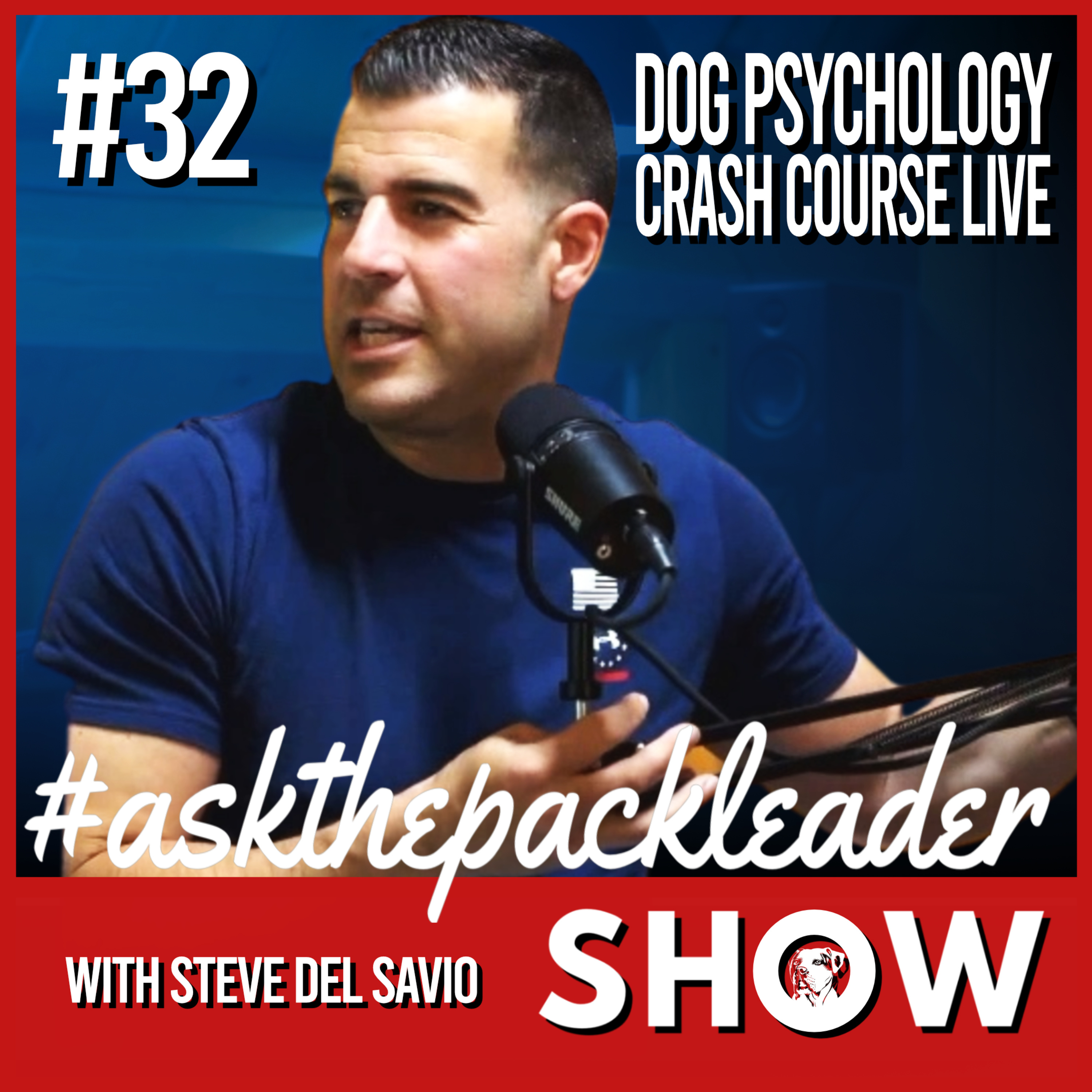 The Pack Leader Dog Psychology Channel
