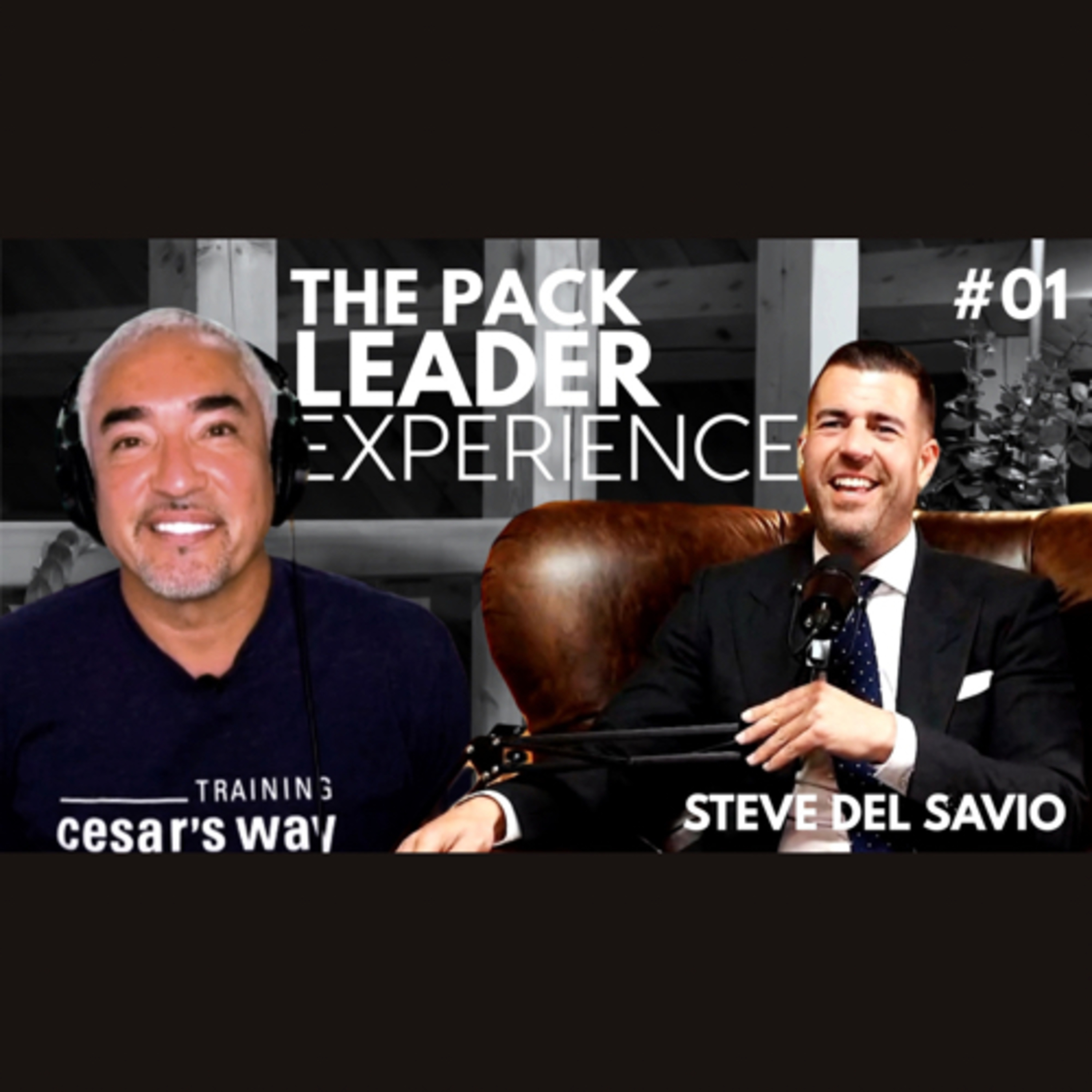 The Pack Leader Dog Psychology Channel