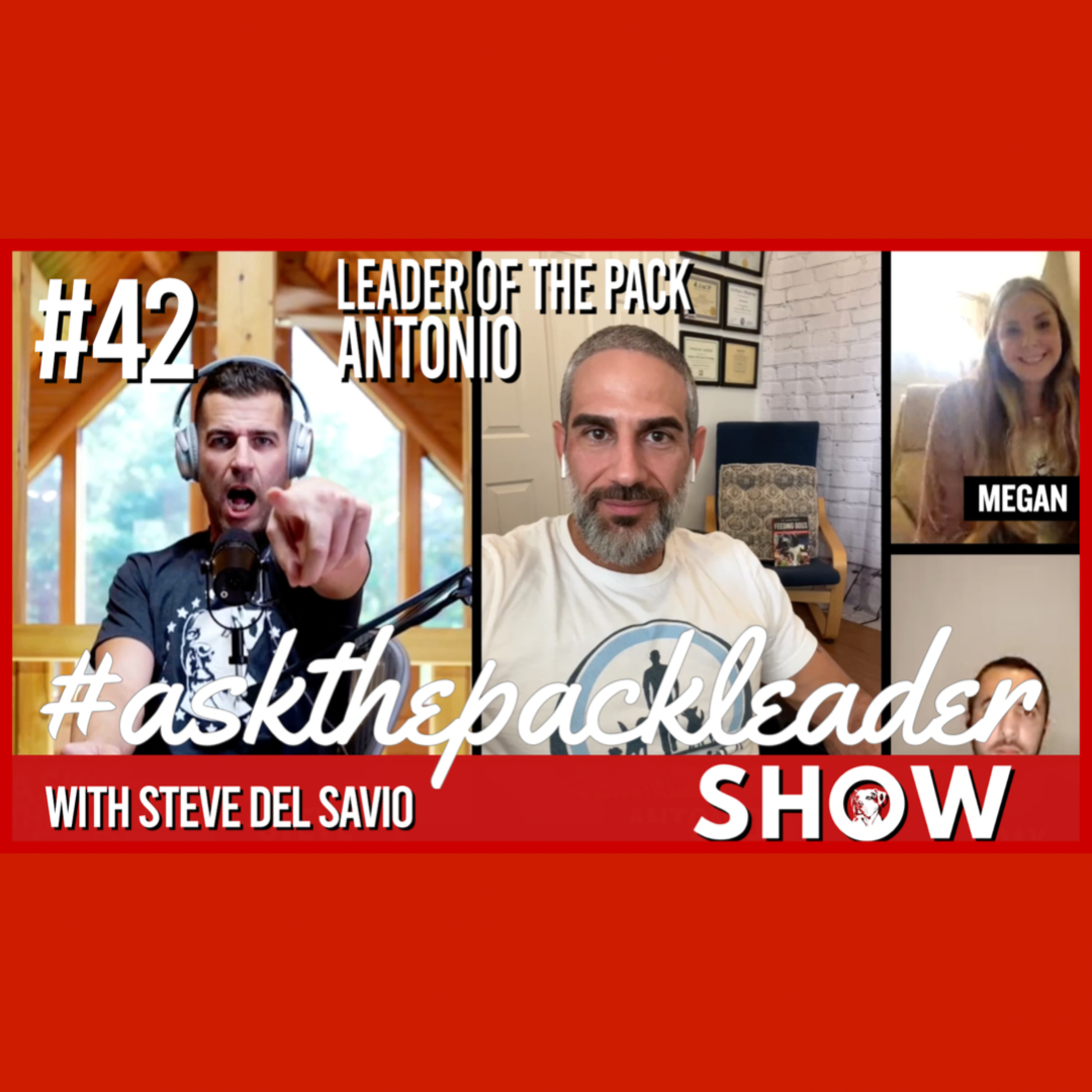 Ask The Pack Leader- #42 Antonio from Leader of the Pack Las Vegas