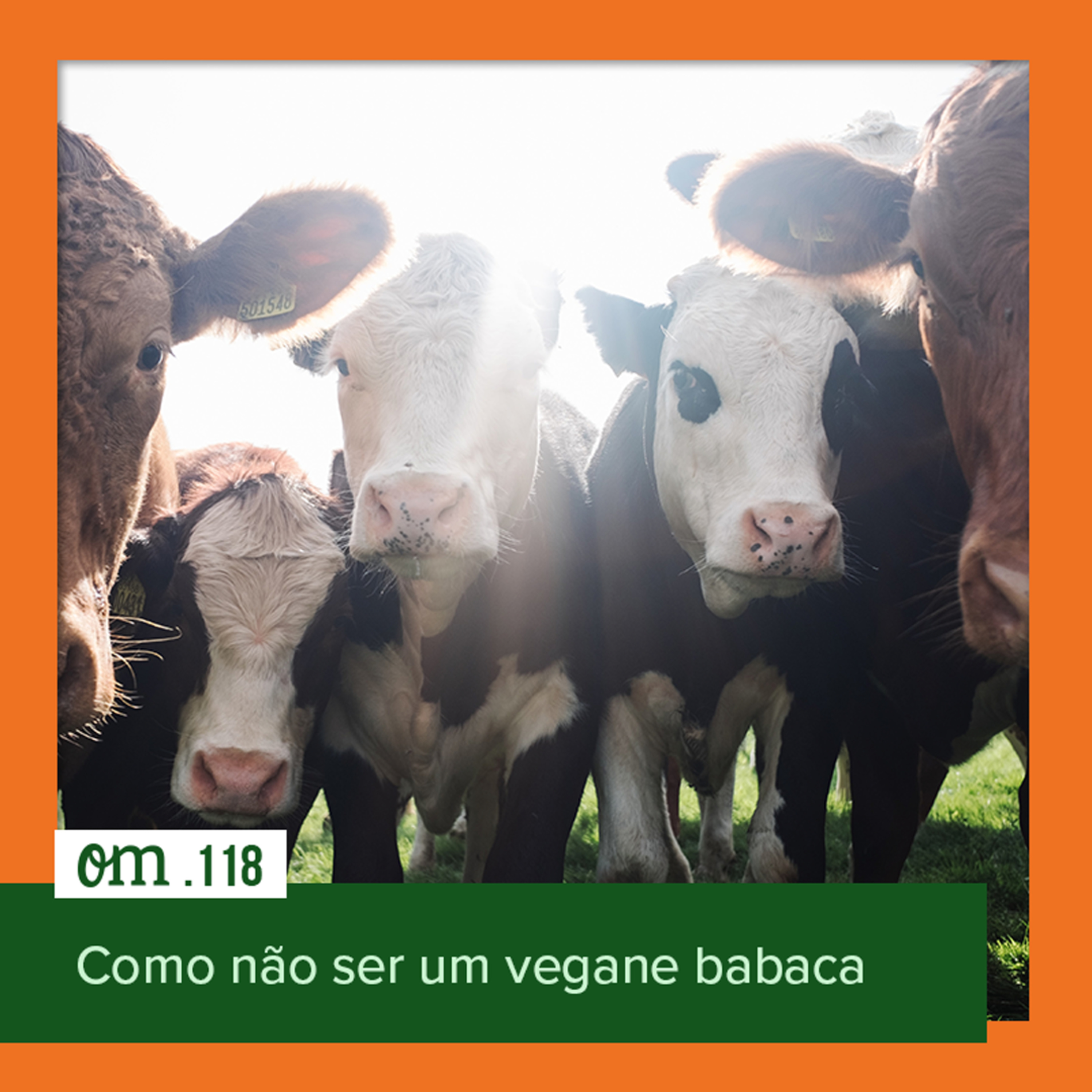 #118 - Como não ser um vegane babaca