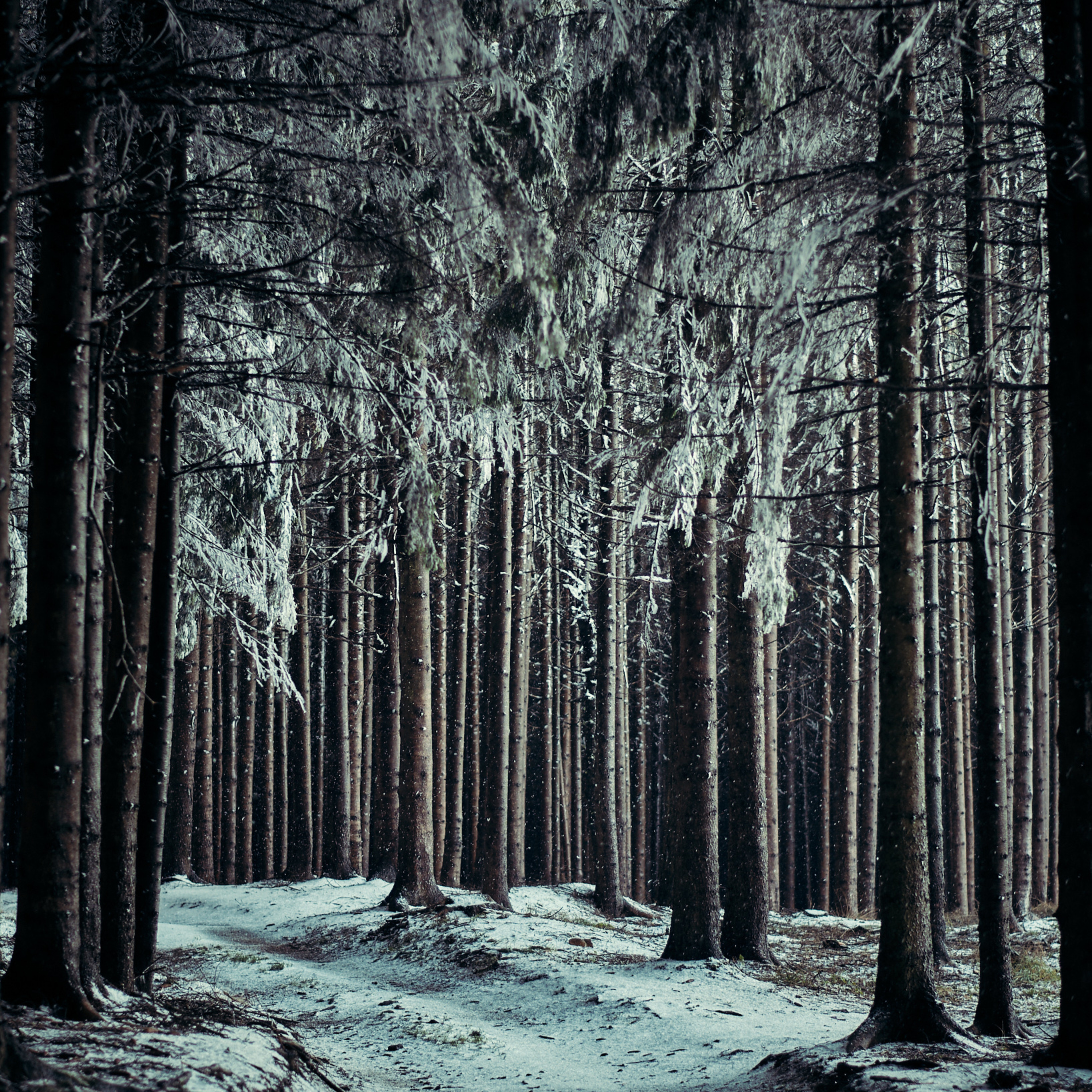 Photogulaschs Fotobeisl