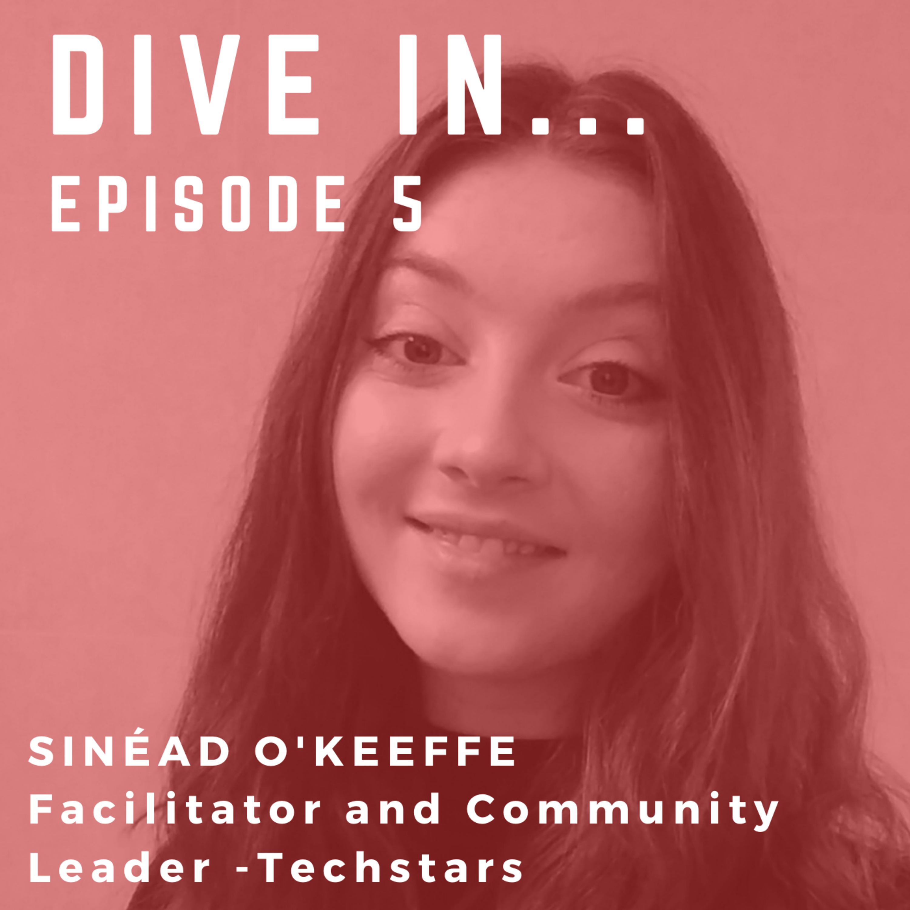 DIVE IN . . . with David Watters