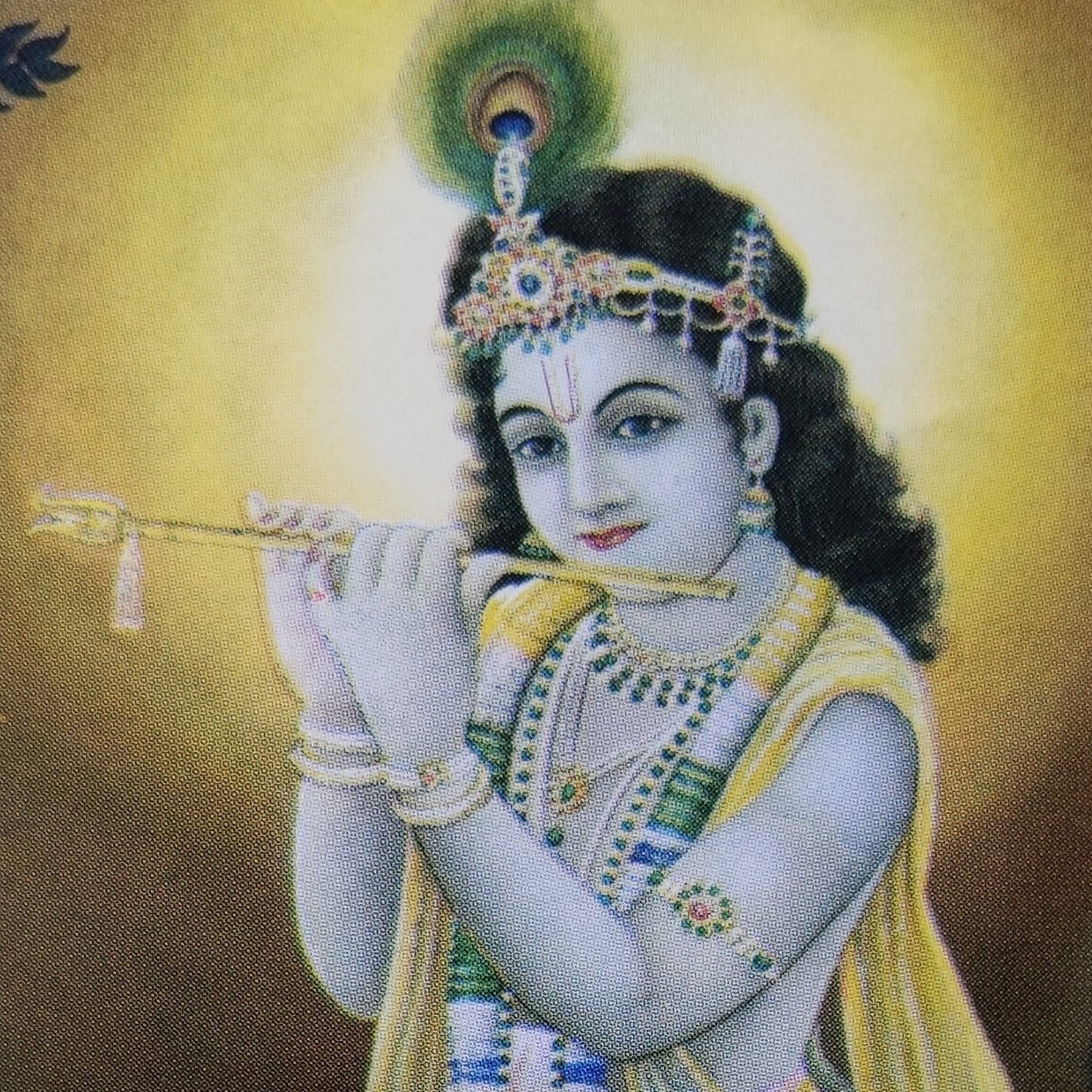 JANANI BHARATHI.  జననిభారతి