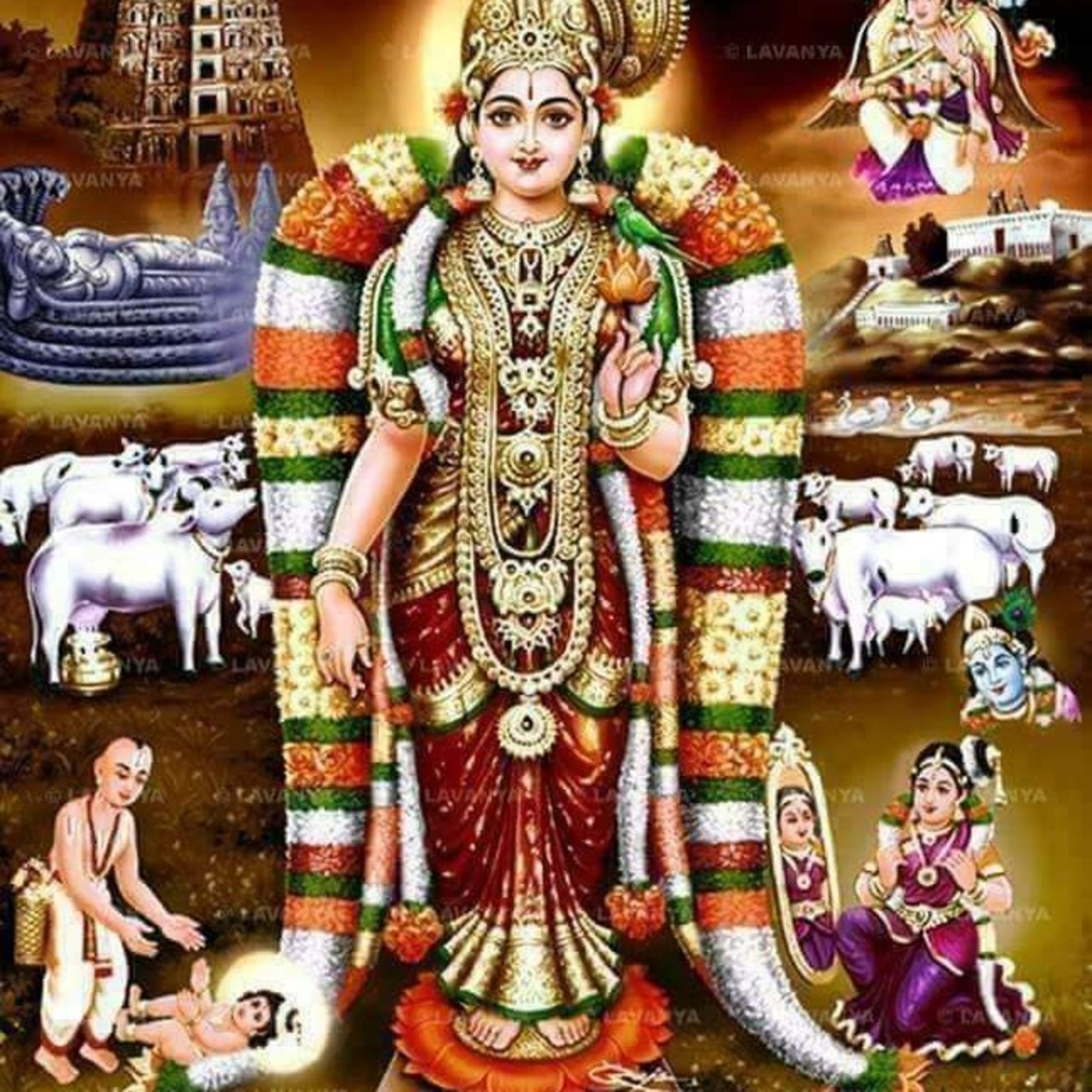 JANANI BHARATHI.  జననిభారతి