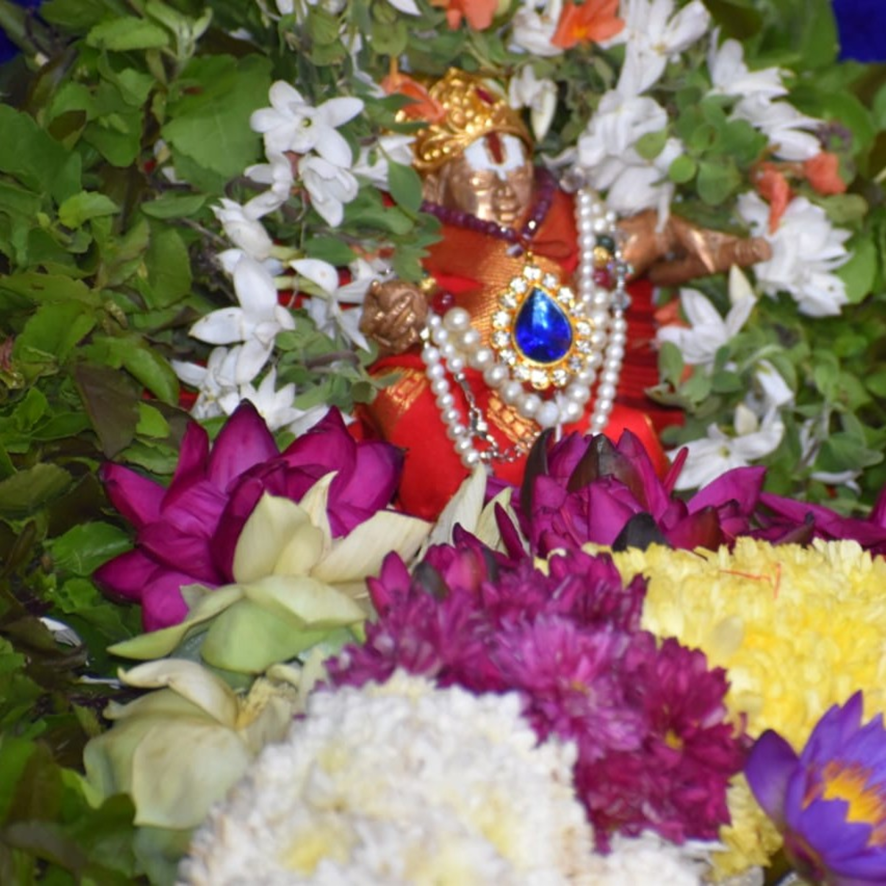JANANI BHARATHI.  జననిభారతి