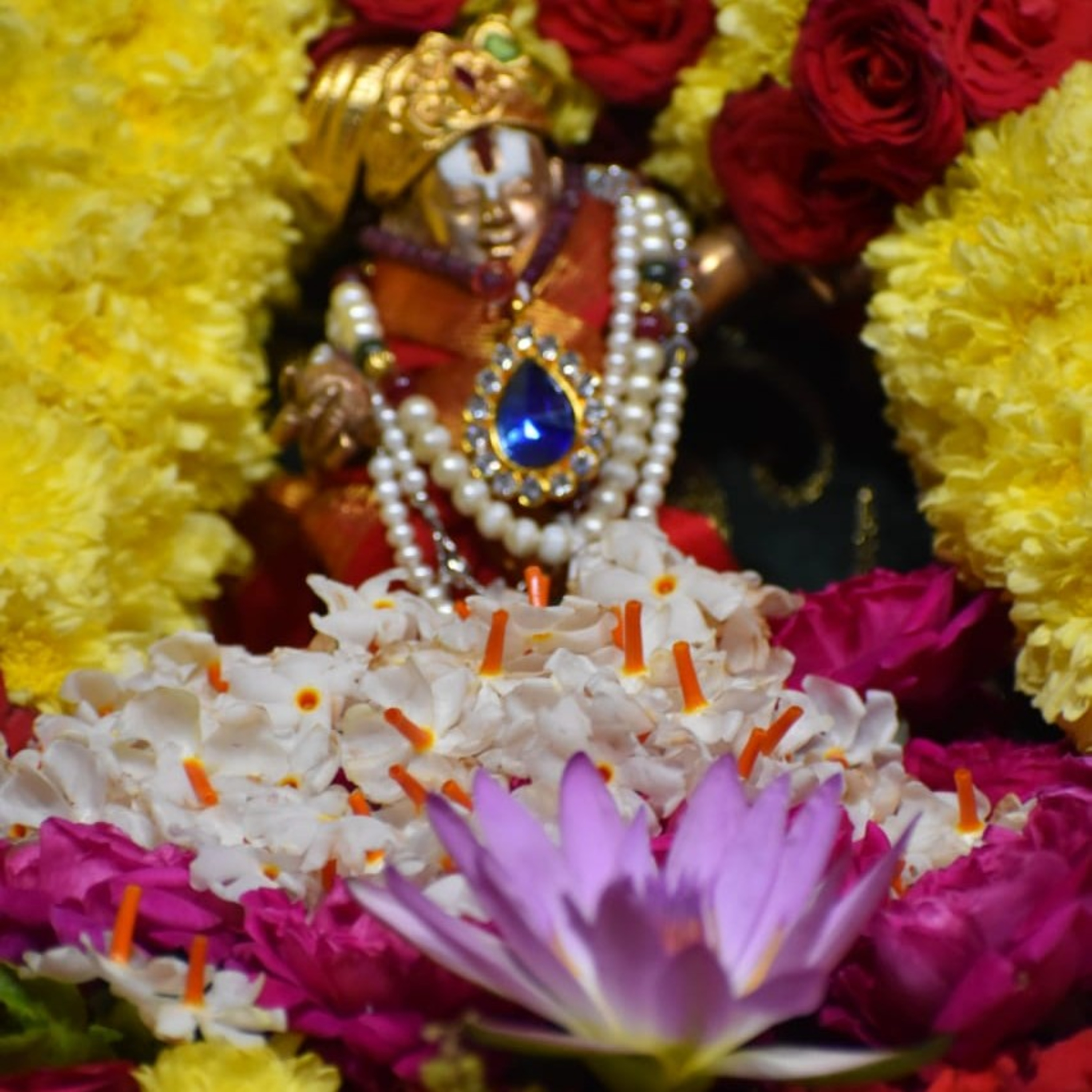 JANANI BHARATHI.  జననిభారతి