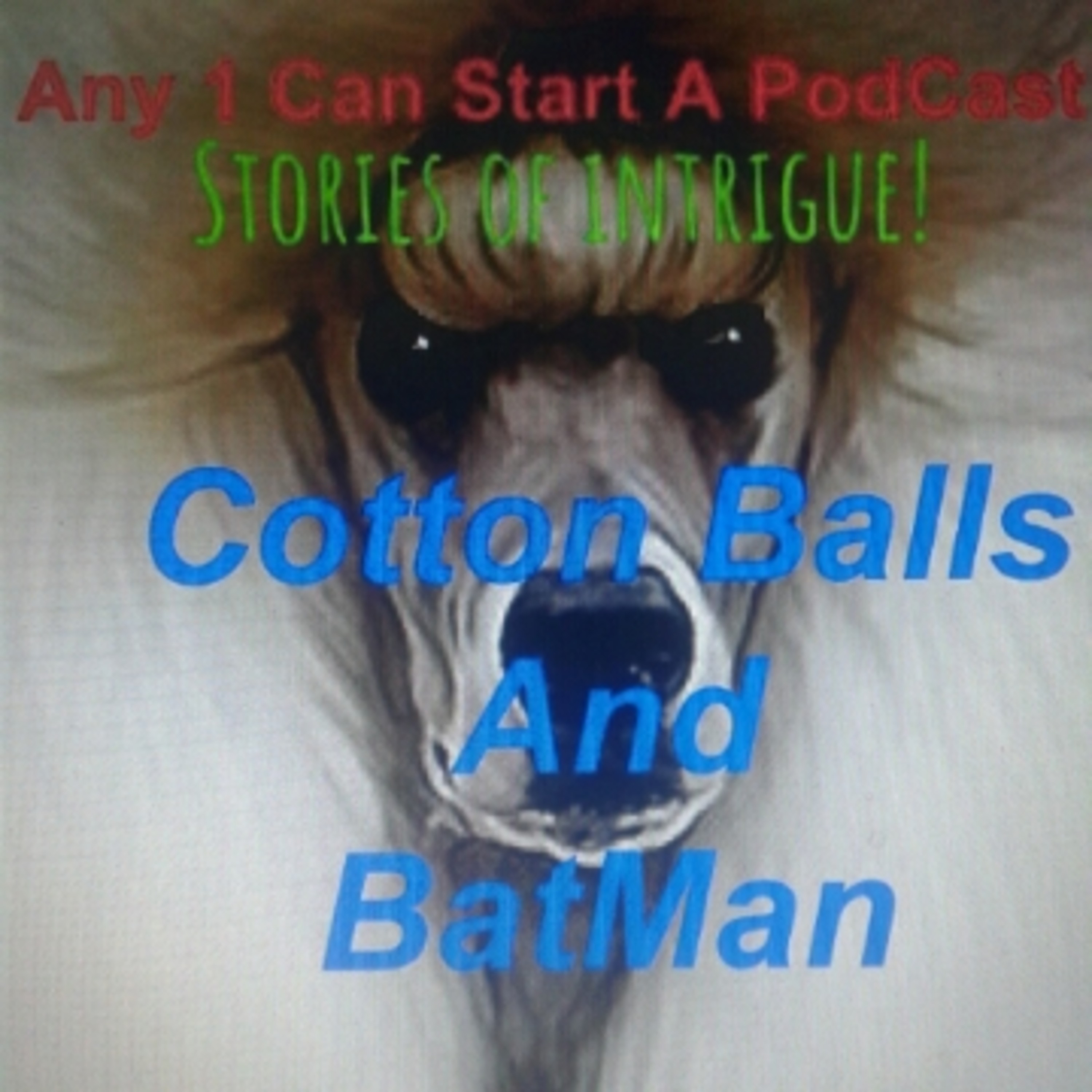 Lost Stories Of Intrigue! "Cotton Balls" and Batman! Episode 14 (going on 40)
