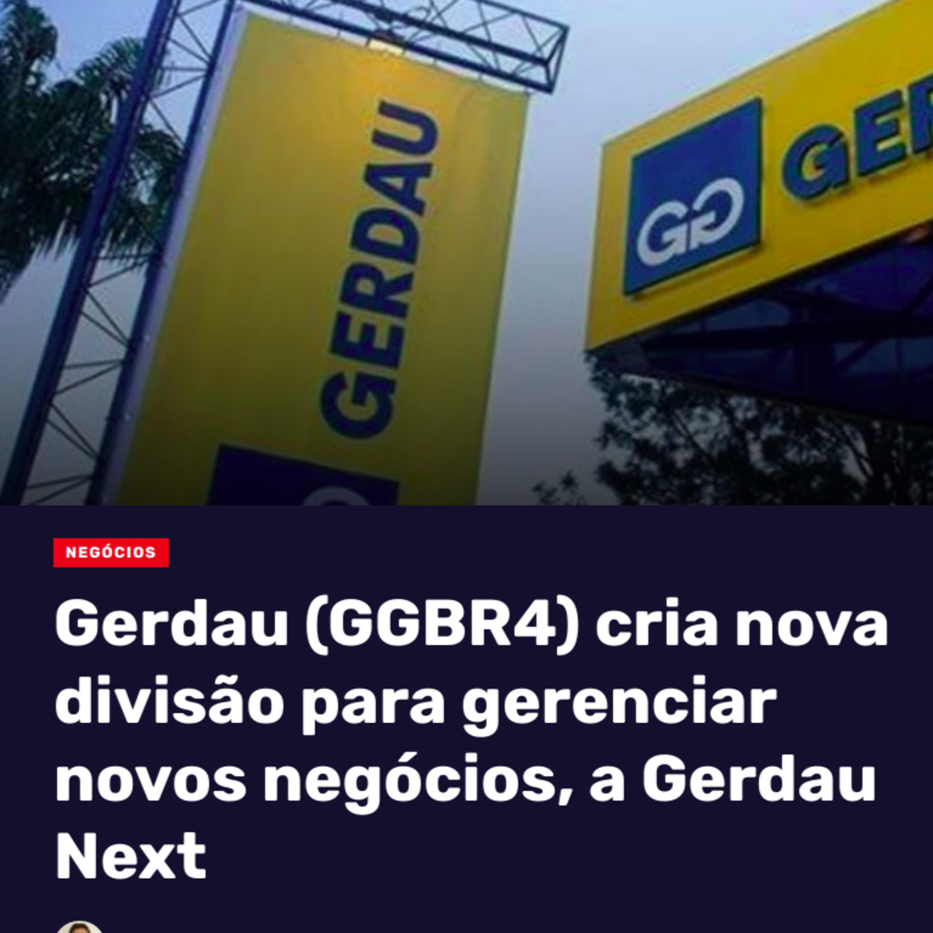 INVESTIDOR BR