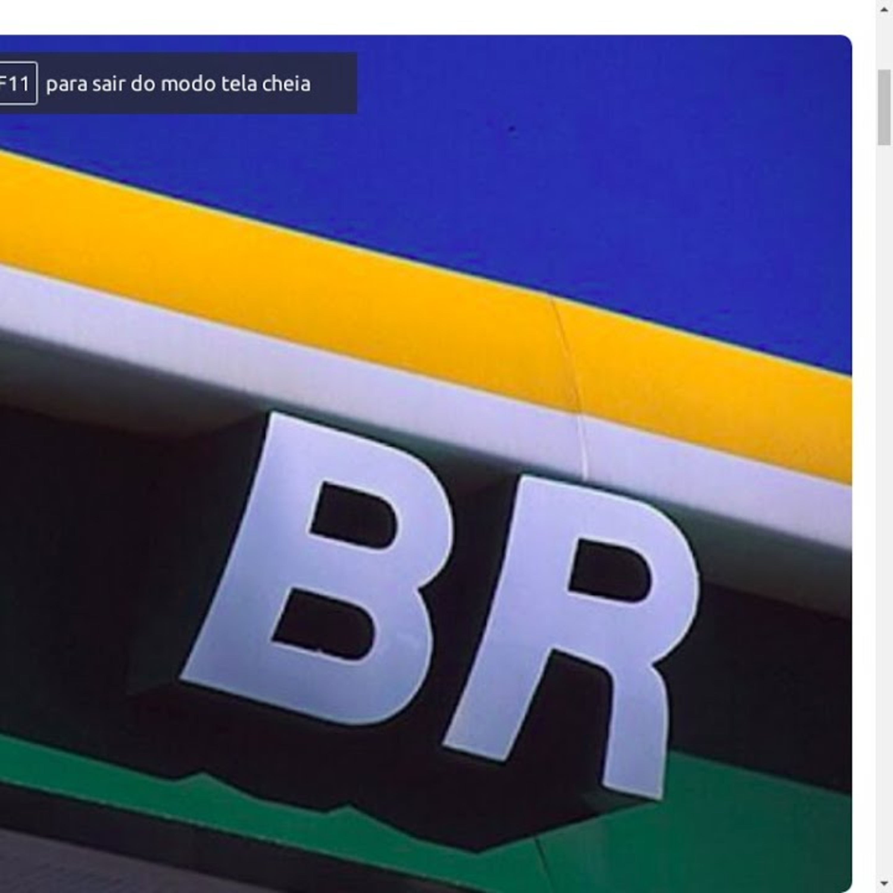 INVESTIDOR BR