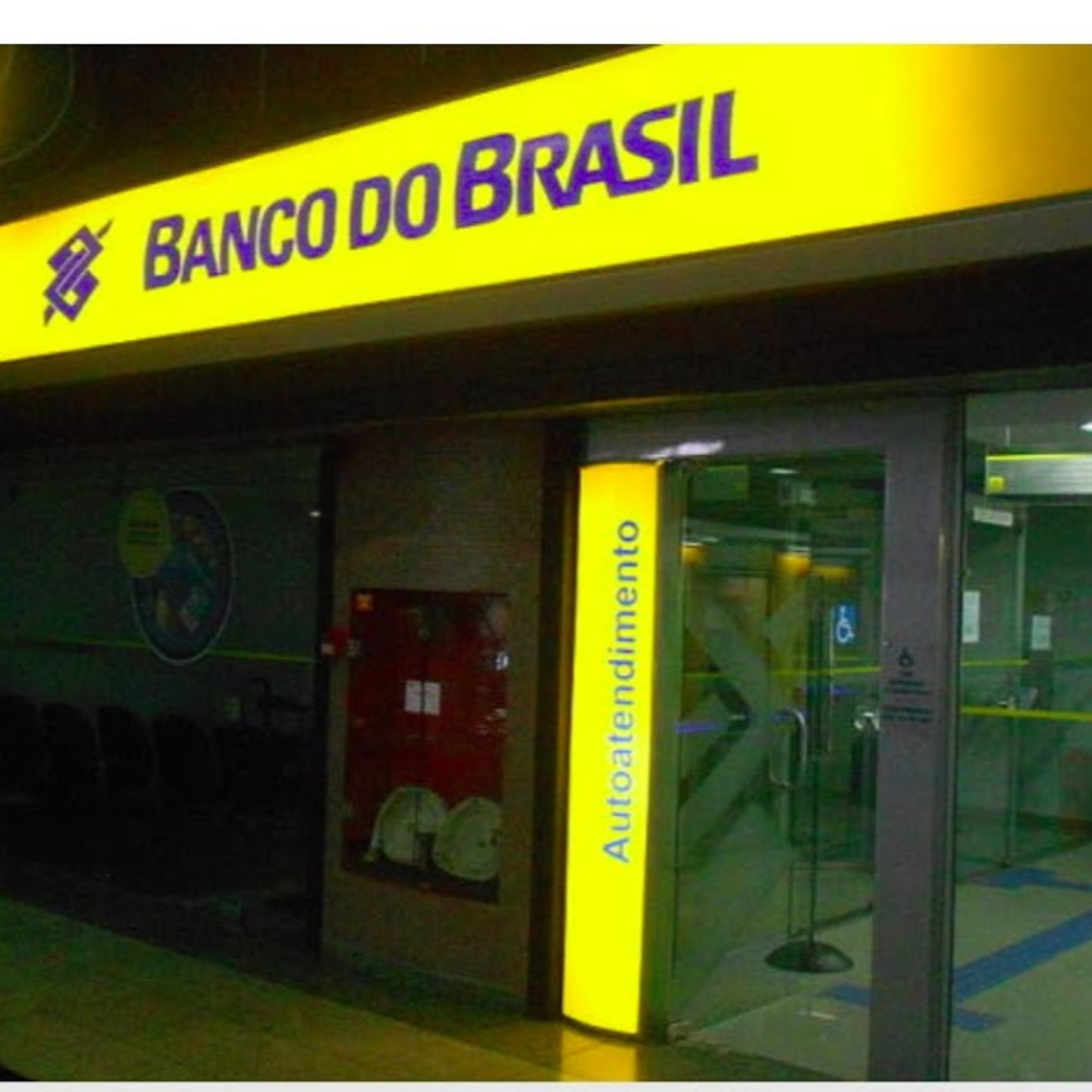 INVESTIDOR BR
