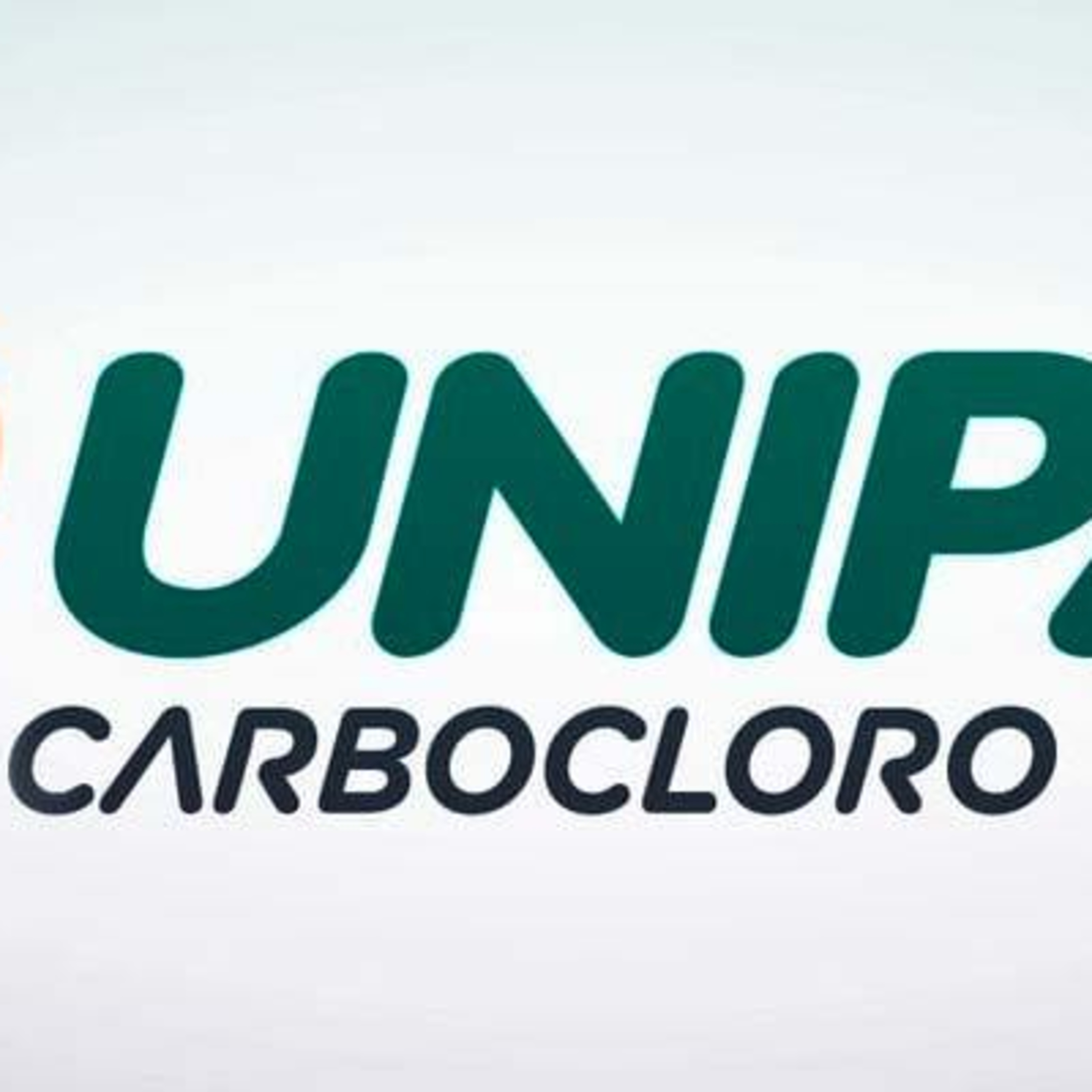 INVESTIDOR BR
