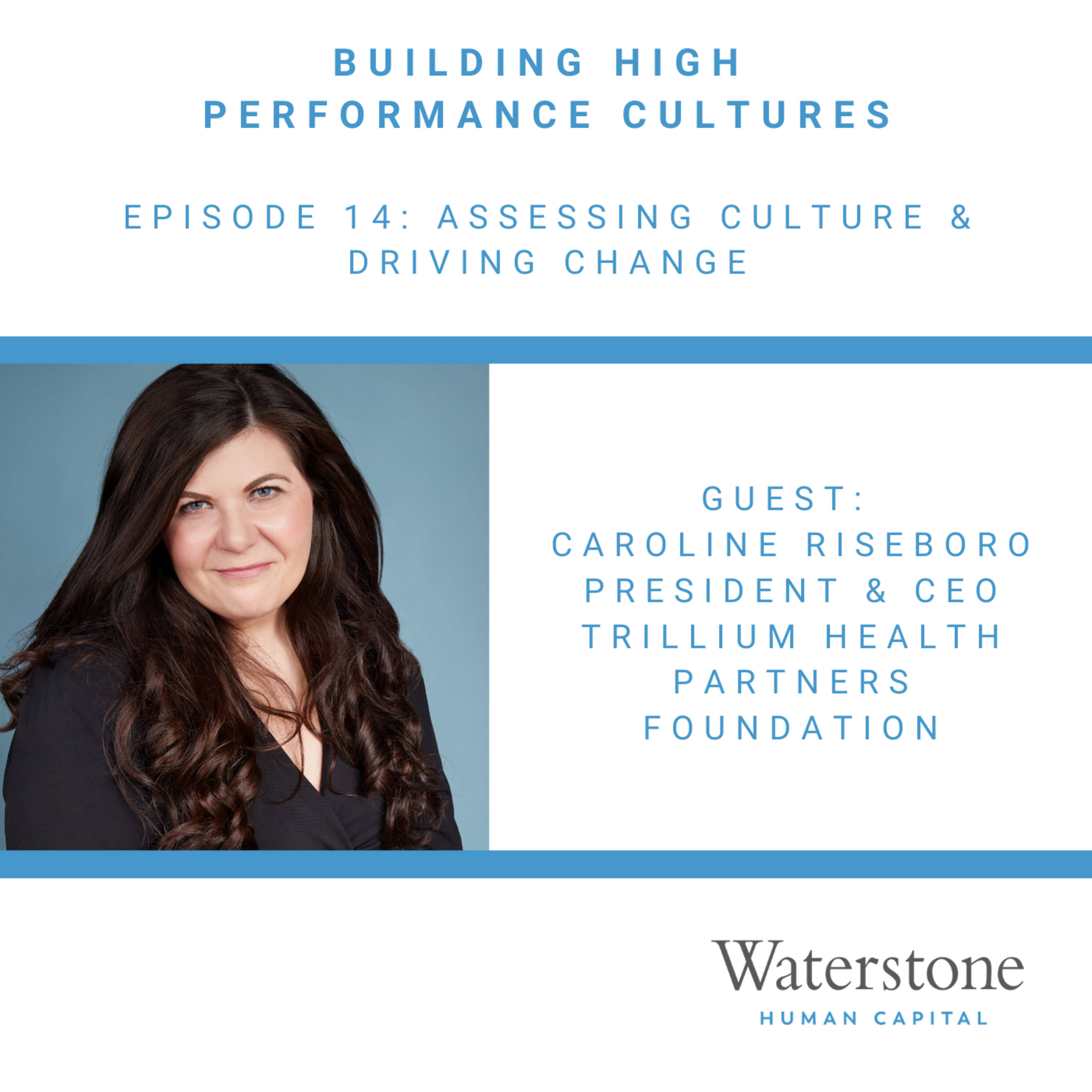 Building High Performance Cultures