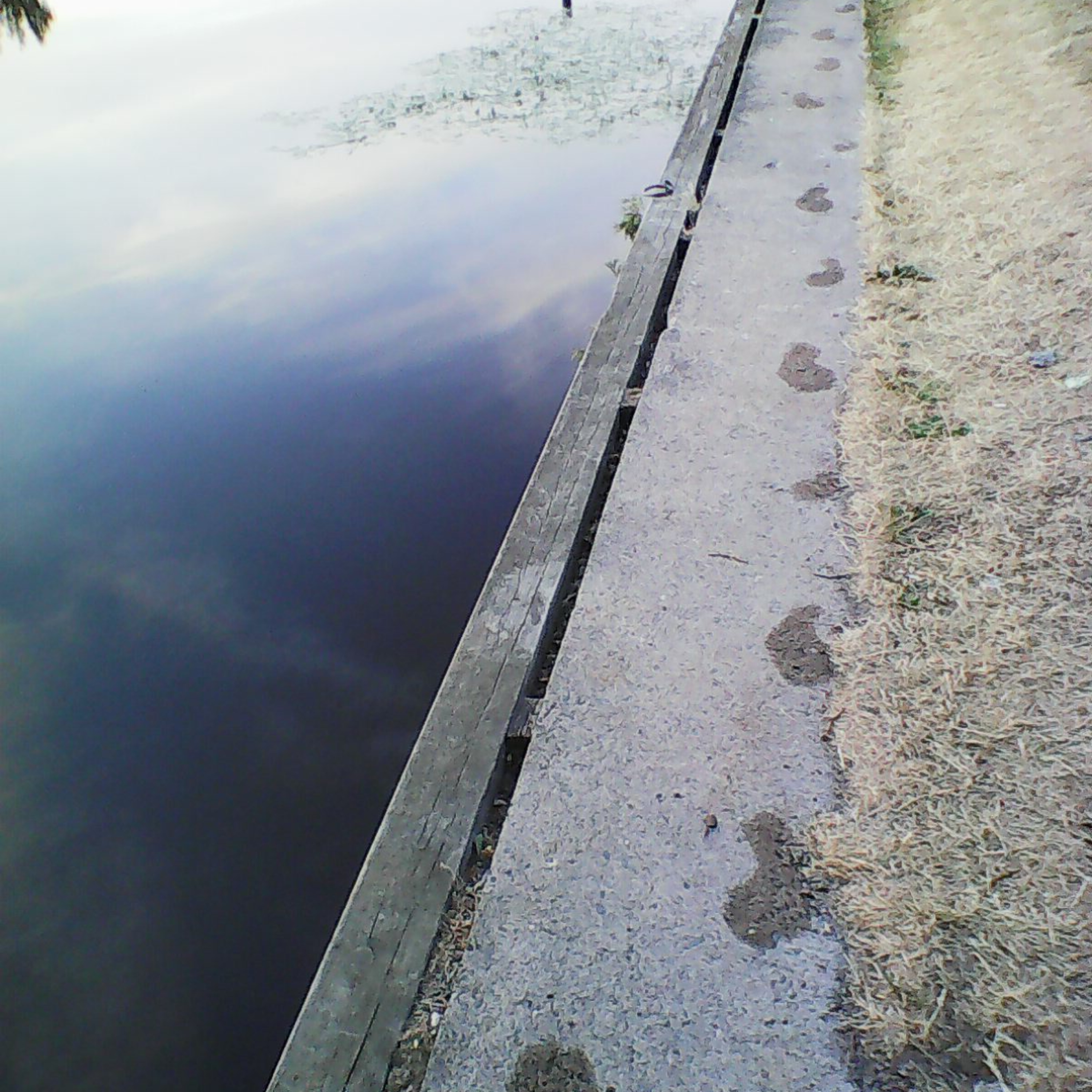 JeLoMe