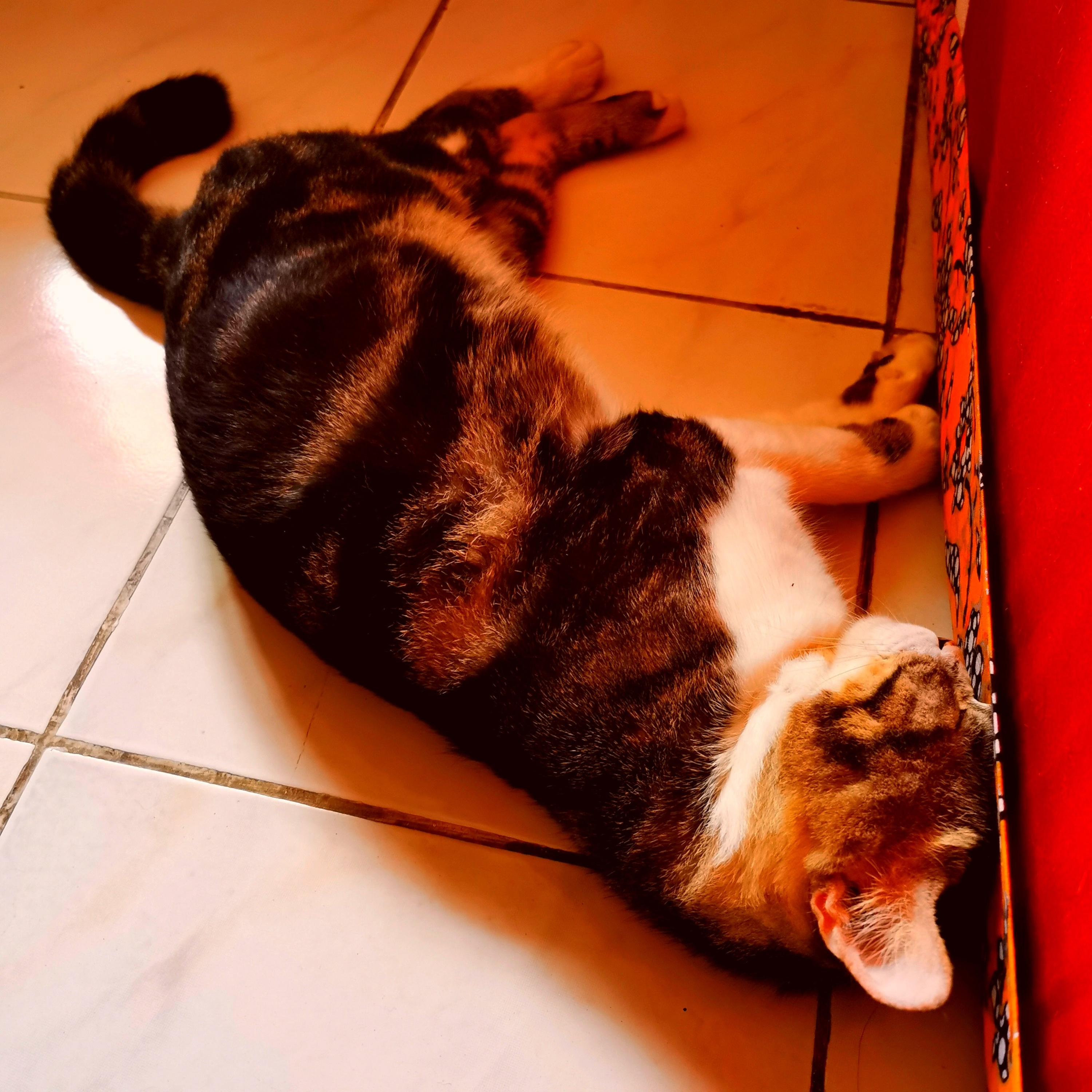Rakyat Figuran