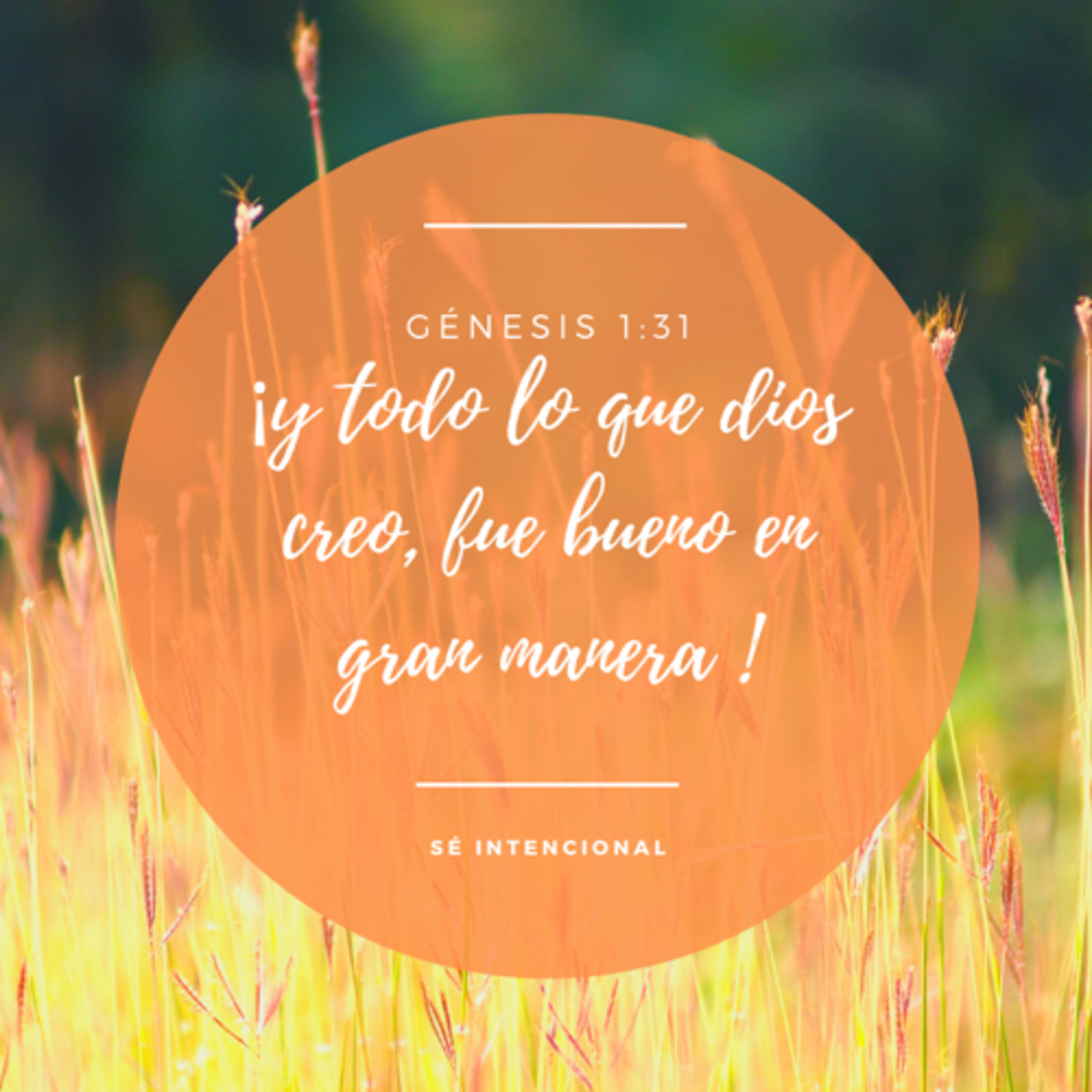 Se Intencional