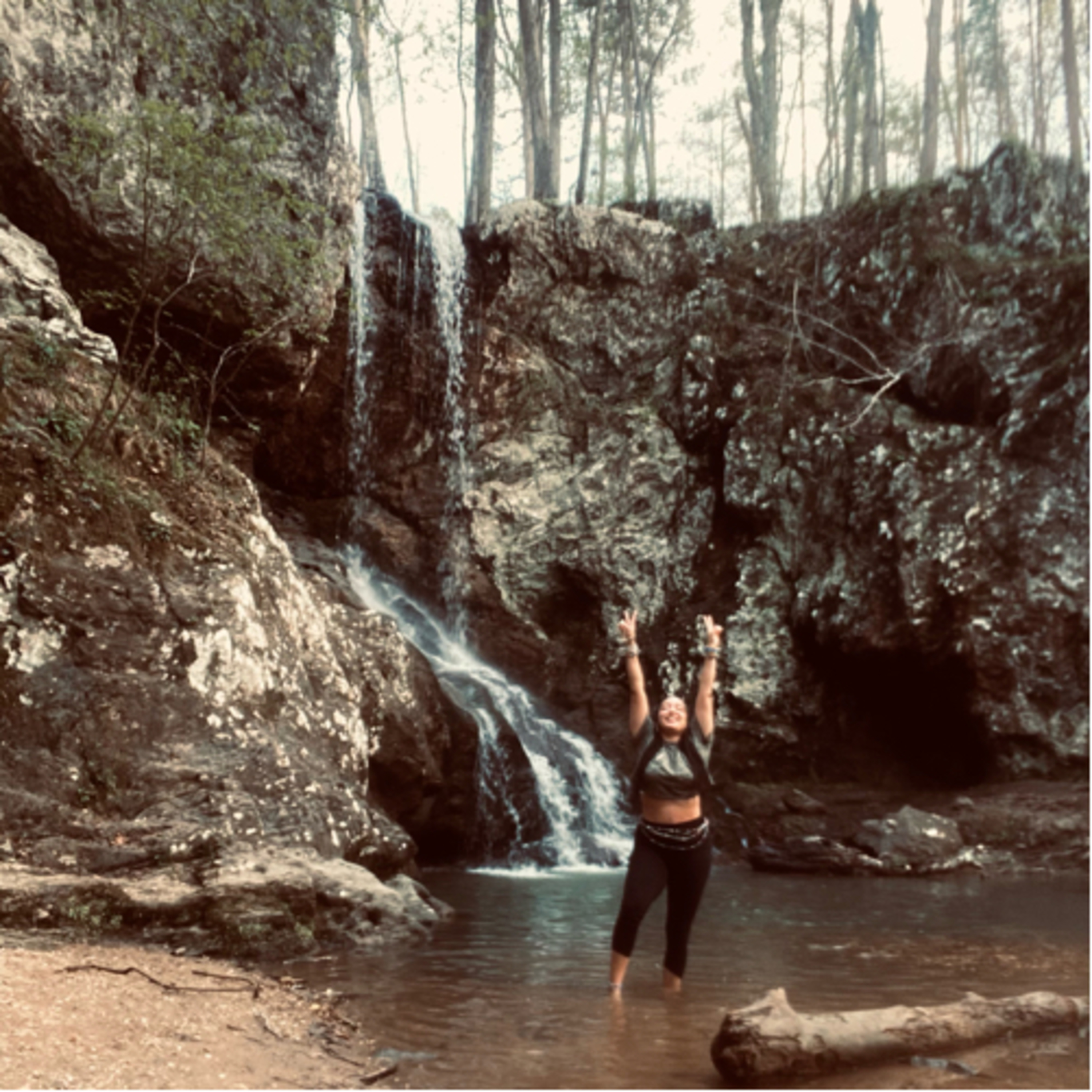Phreedom Healing